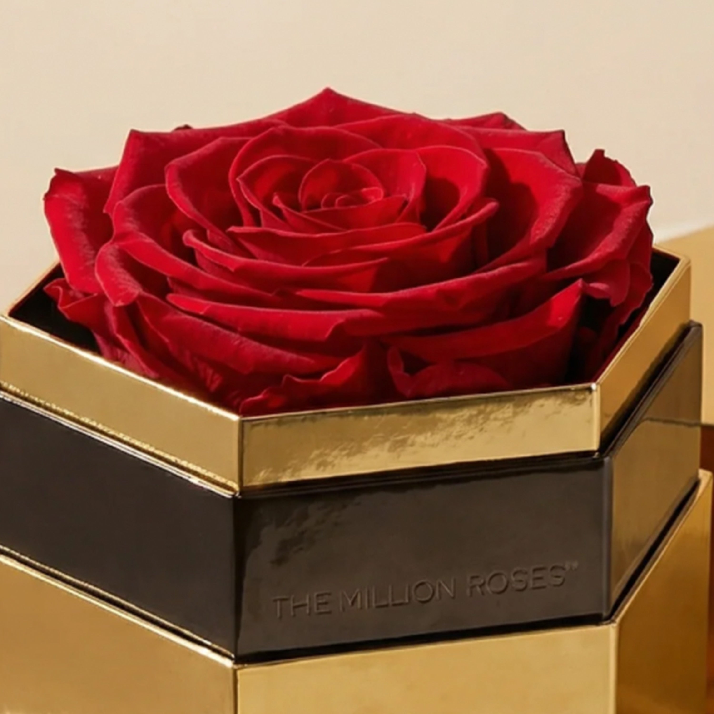 One in a Million™ Mirror Gold Hexagon Box | Red Rose