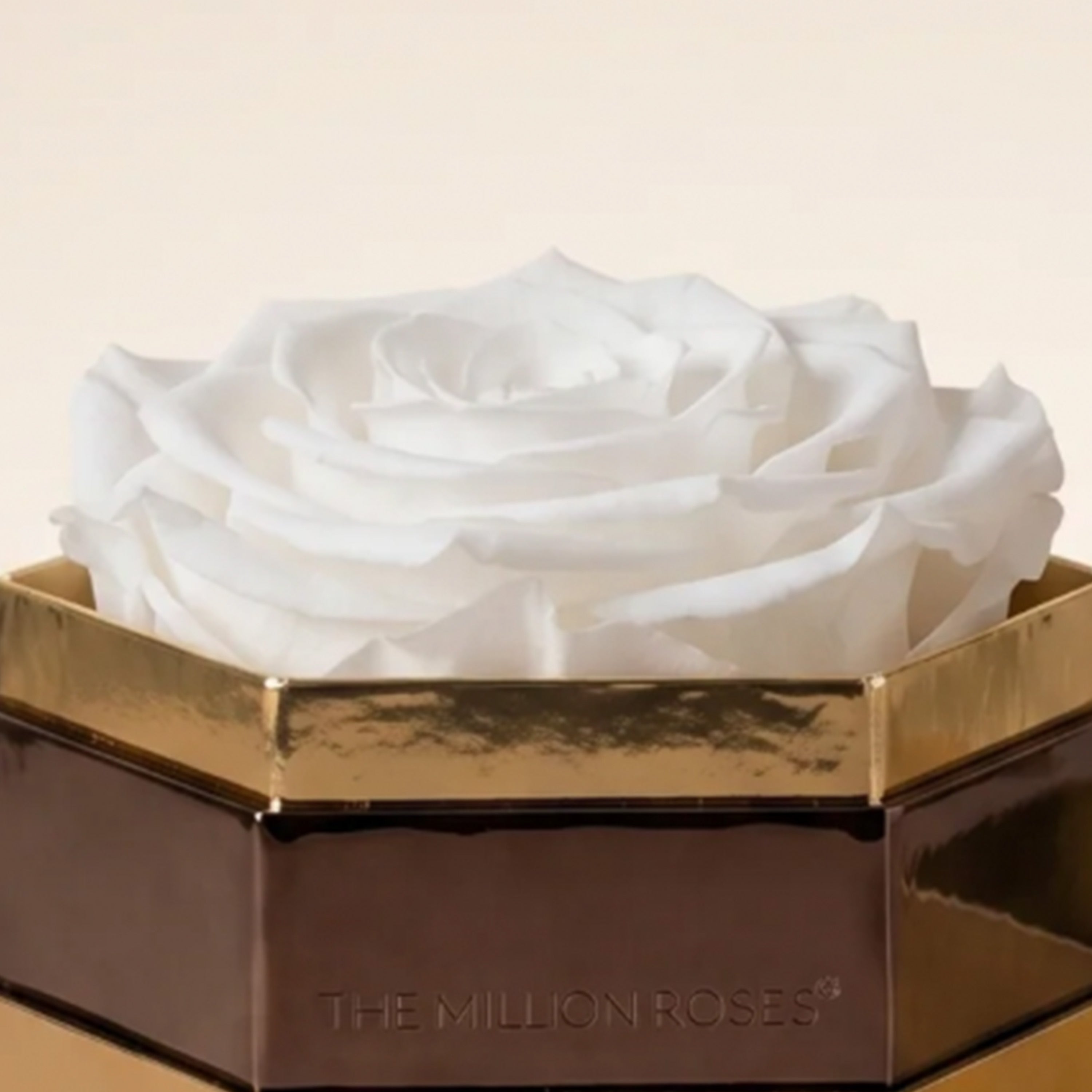 One in a Million™ Mirror Gold Hexagon Box | White Rose