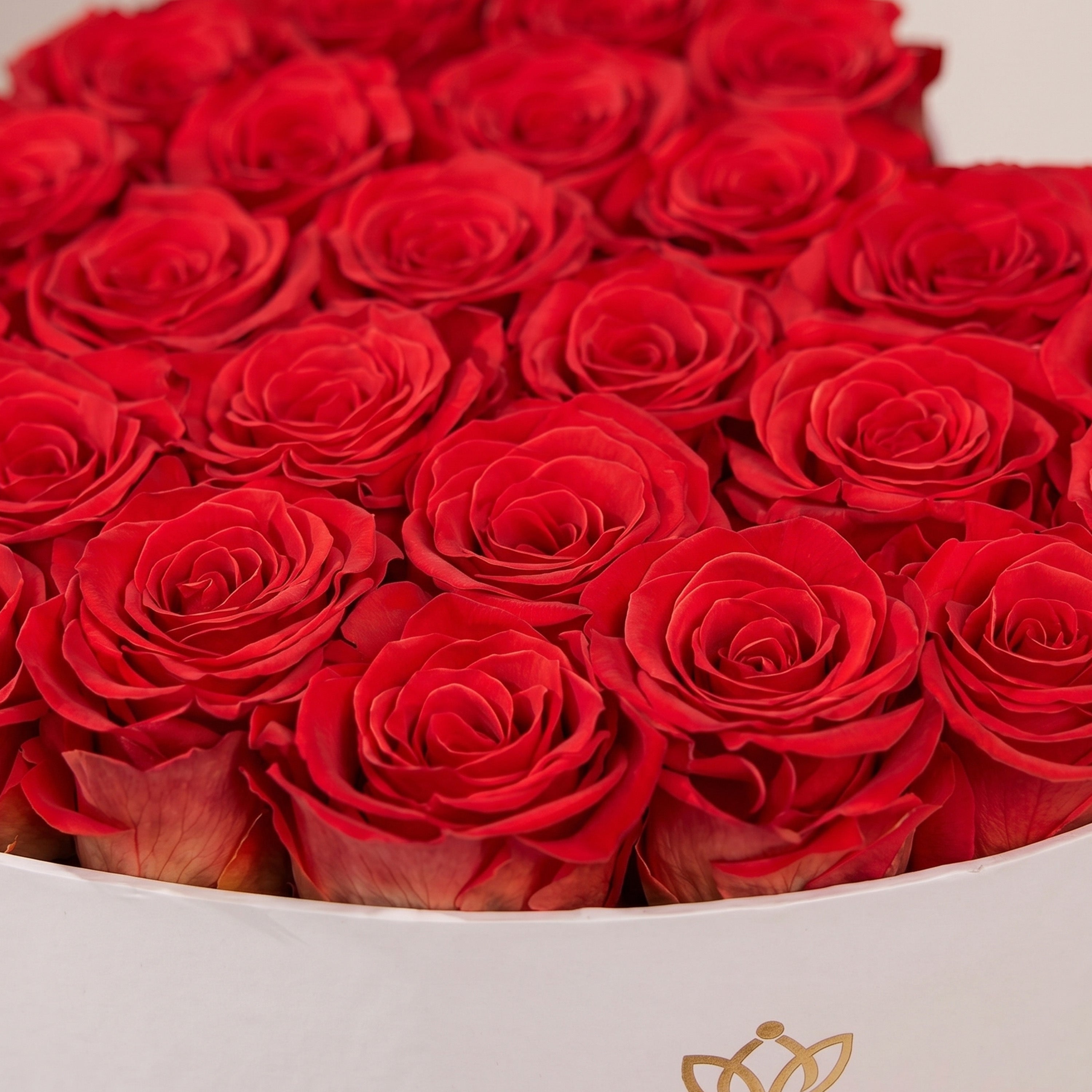 Heart White Box | Coral Roses