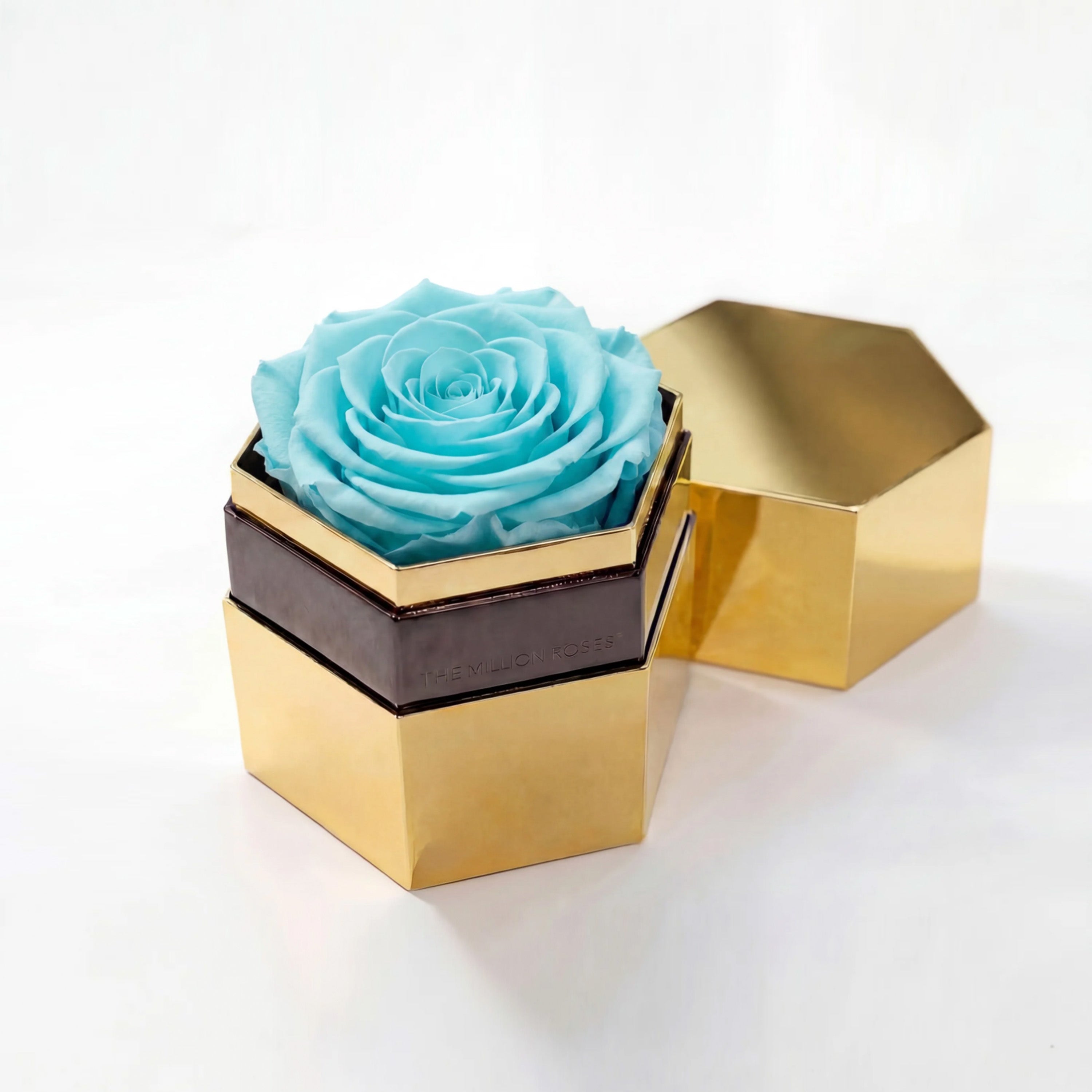One in a Million™ Mirror Gold Hexagon Box | Turquoise Rose