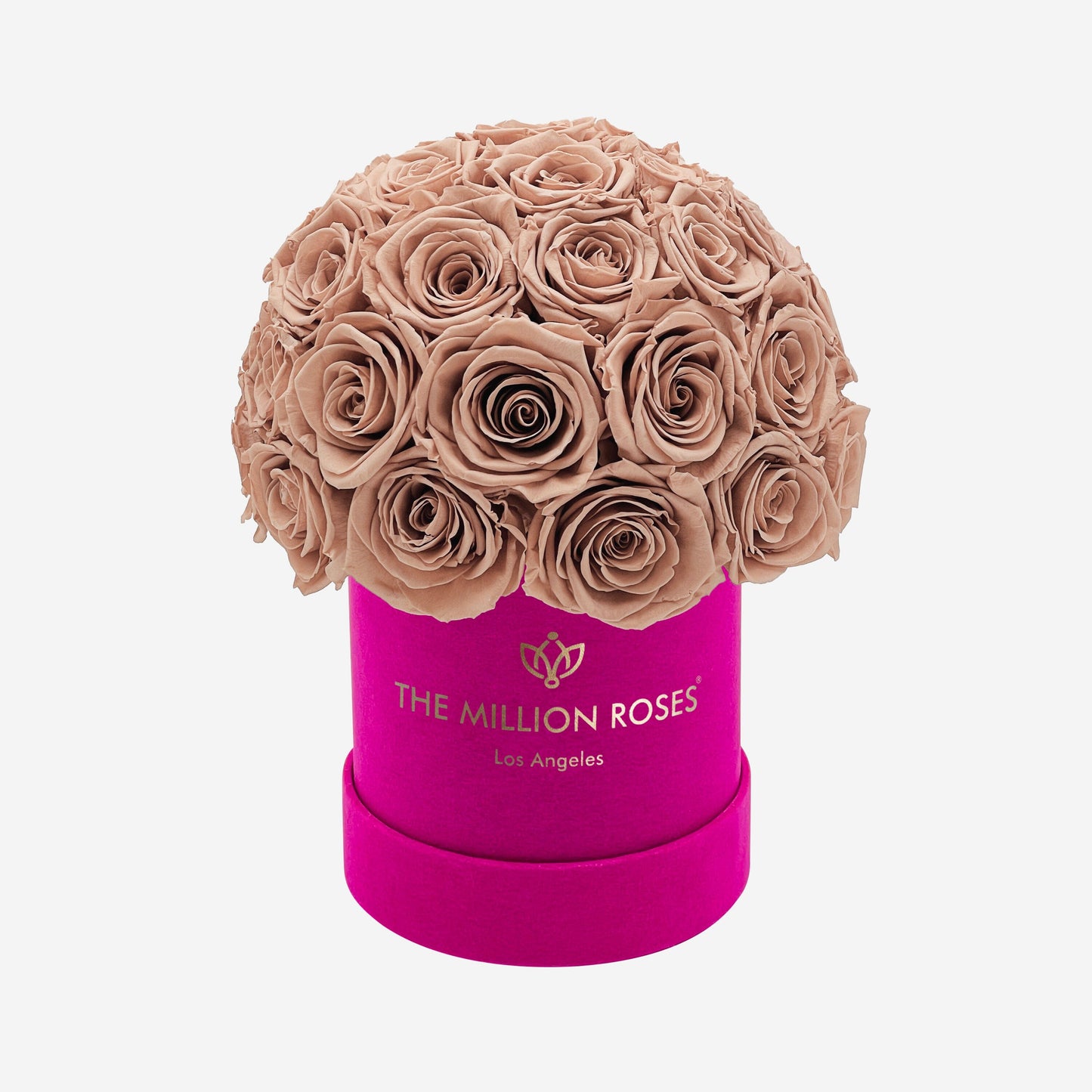 Basic Hot Pink Suede Superdome Box | Sand Roses