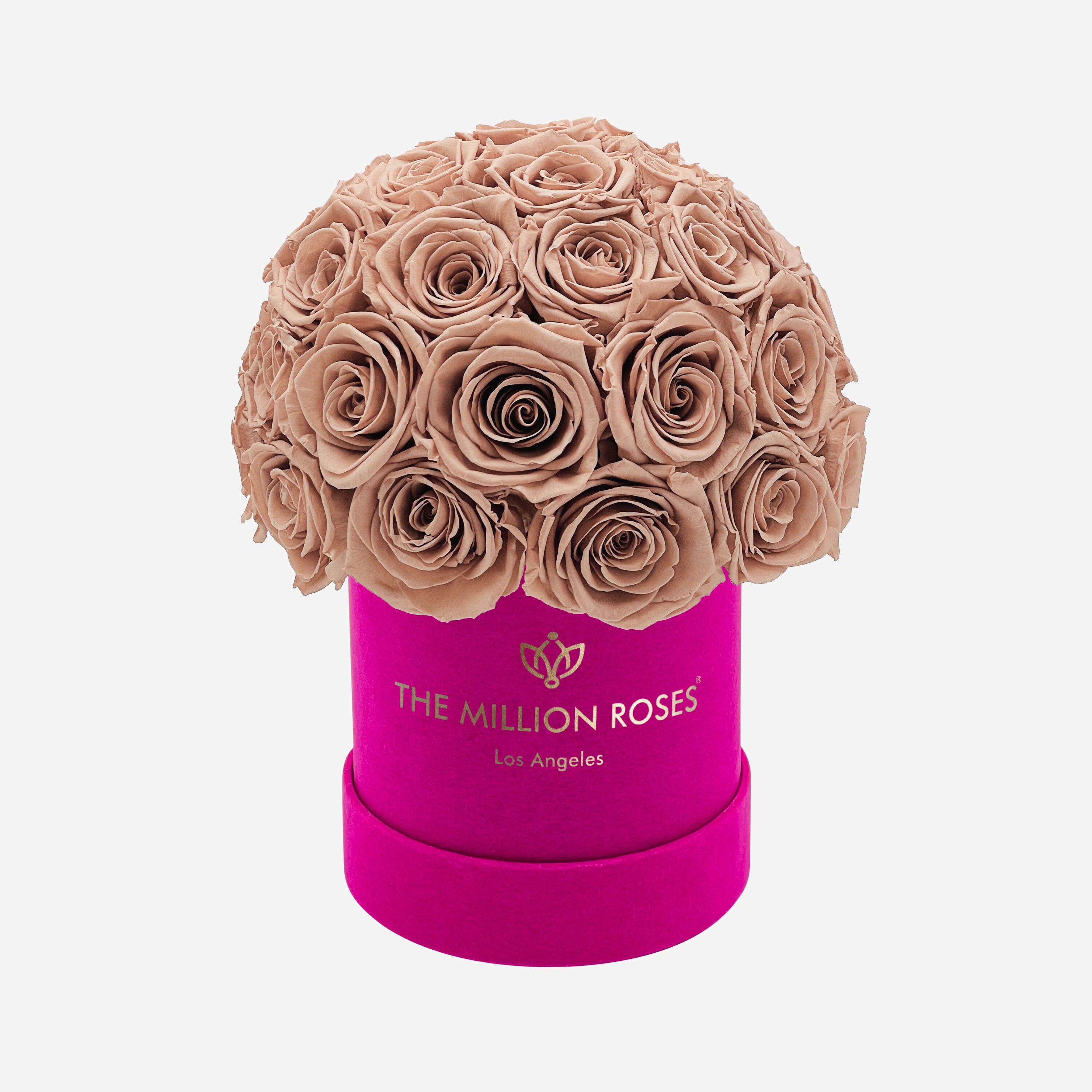 Boîte Superdome Basic Daim Rose Foncé | Roses Nude