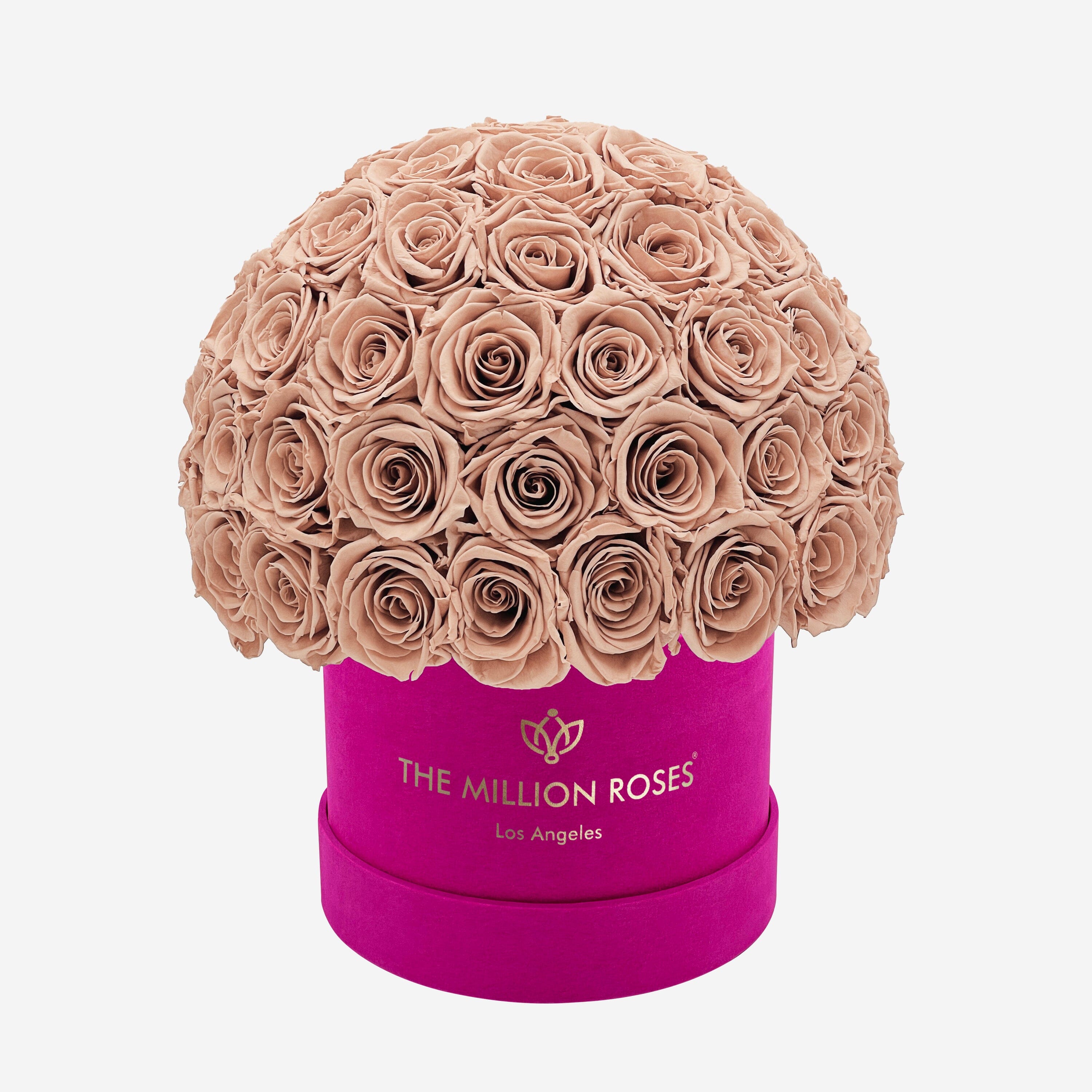 Classic Hot Pink Suede Superdome Box | Sand Roses | The Million Roses