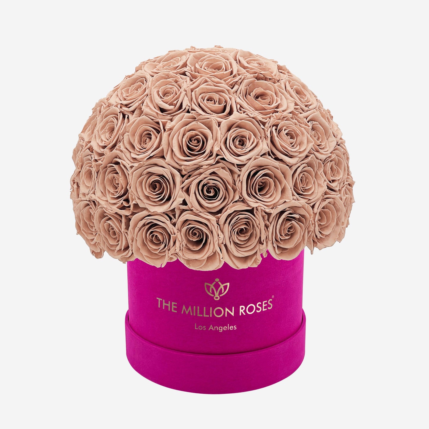 Classic Hot Pink Suede Superdome Box | Sand Roses
