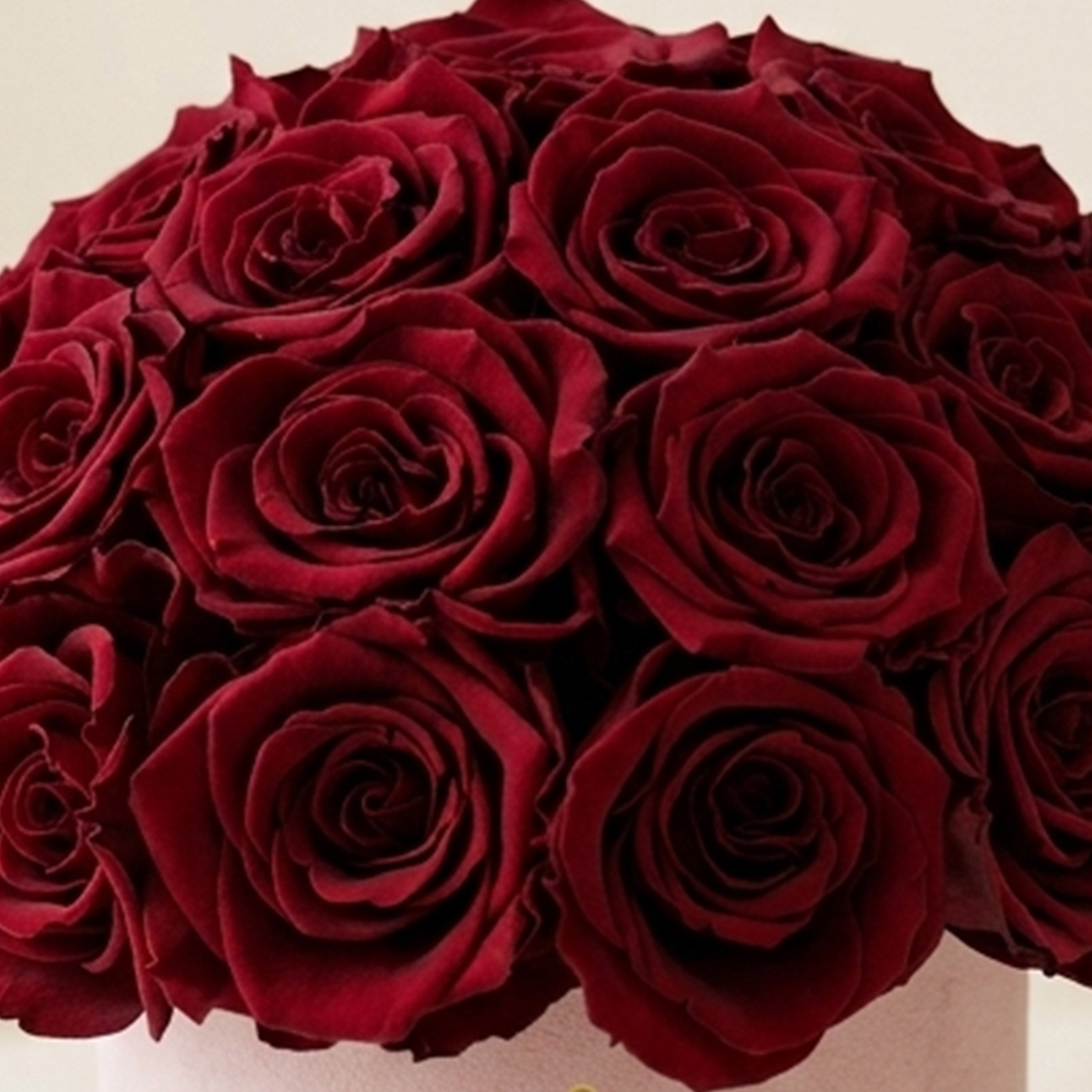 Essence Light Pink Suede Superdome Box | Burgundy Roses