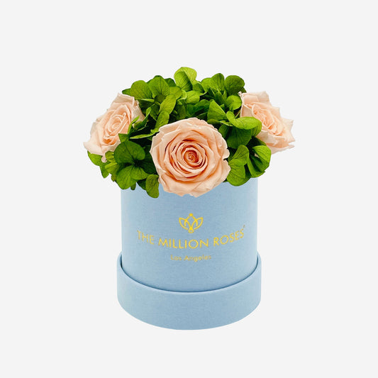Basic Light Blue Suede Garden Box | Peach Roses