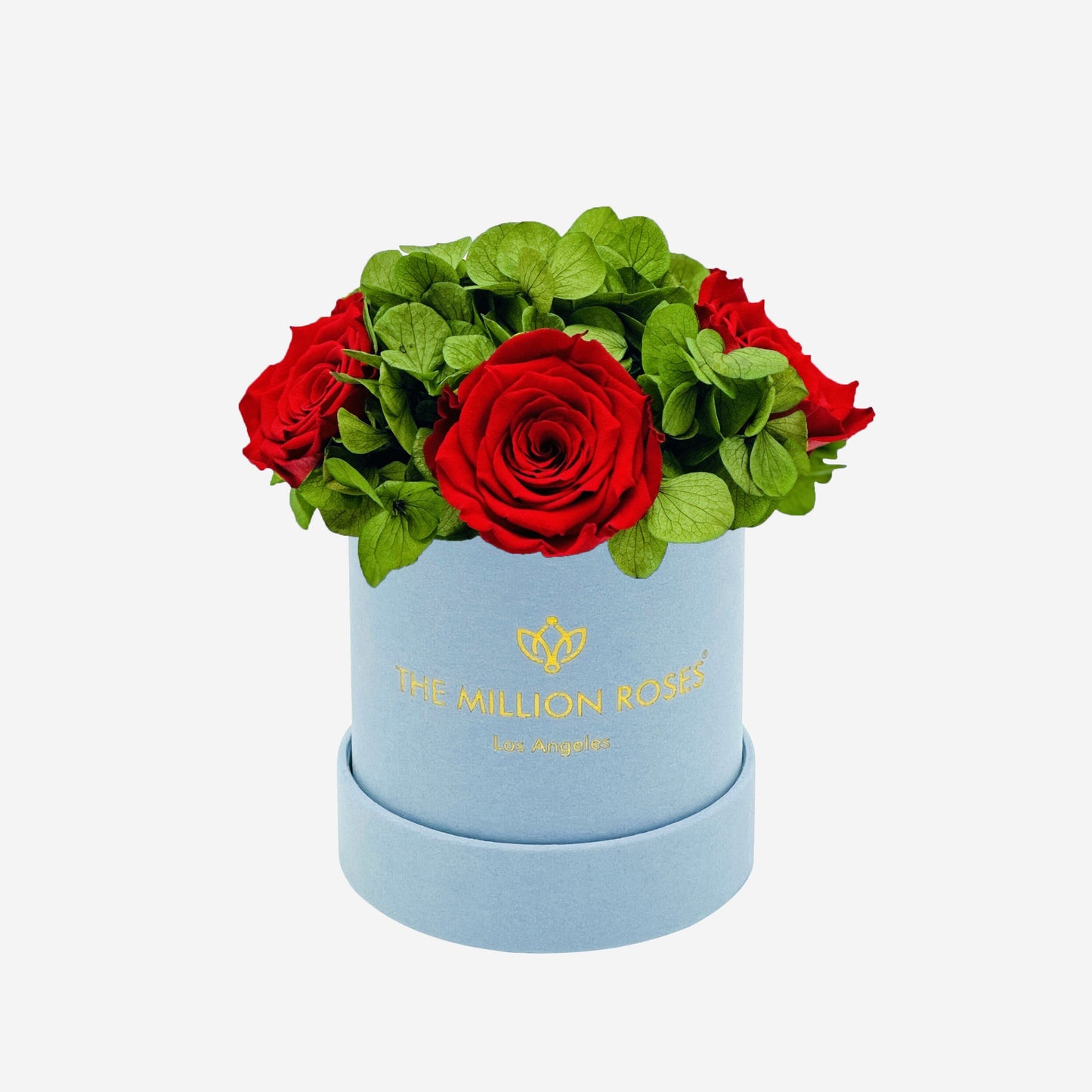 Basic Light Blue Suede Garden Box | Red Roses