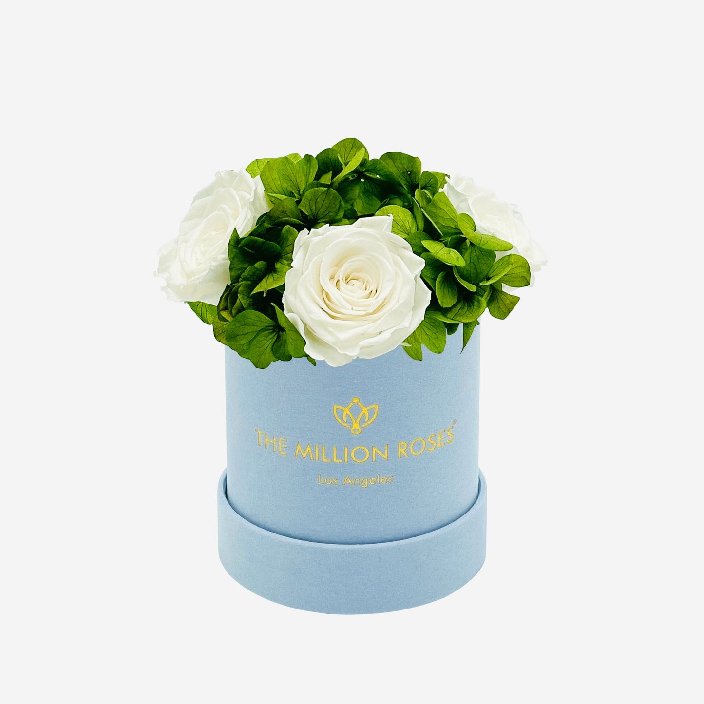 Basic Light Blue Suede Garden Box | White Roses