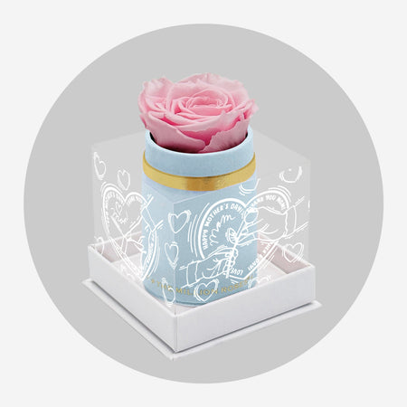 Single Světle Modrý Suede Box | Limited Mother's Love Edition | Světle růžová růže