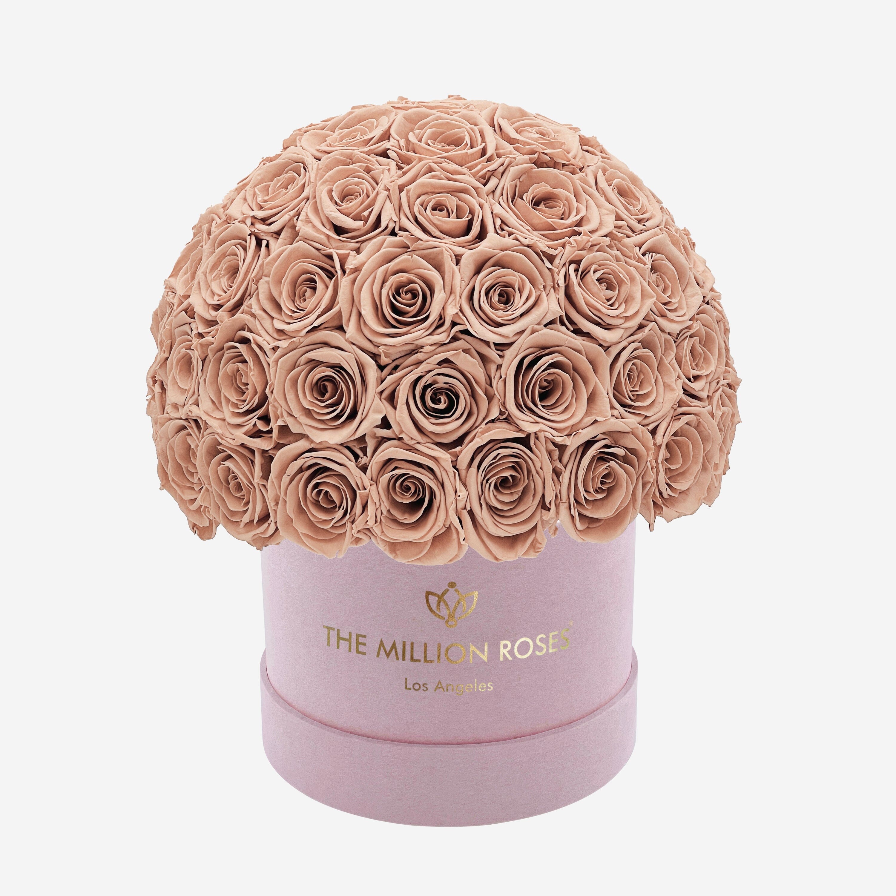 Classic Light Pink Suede Superdome Box | Sand Roses