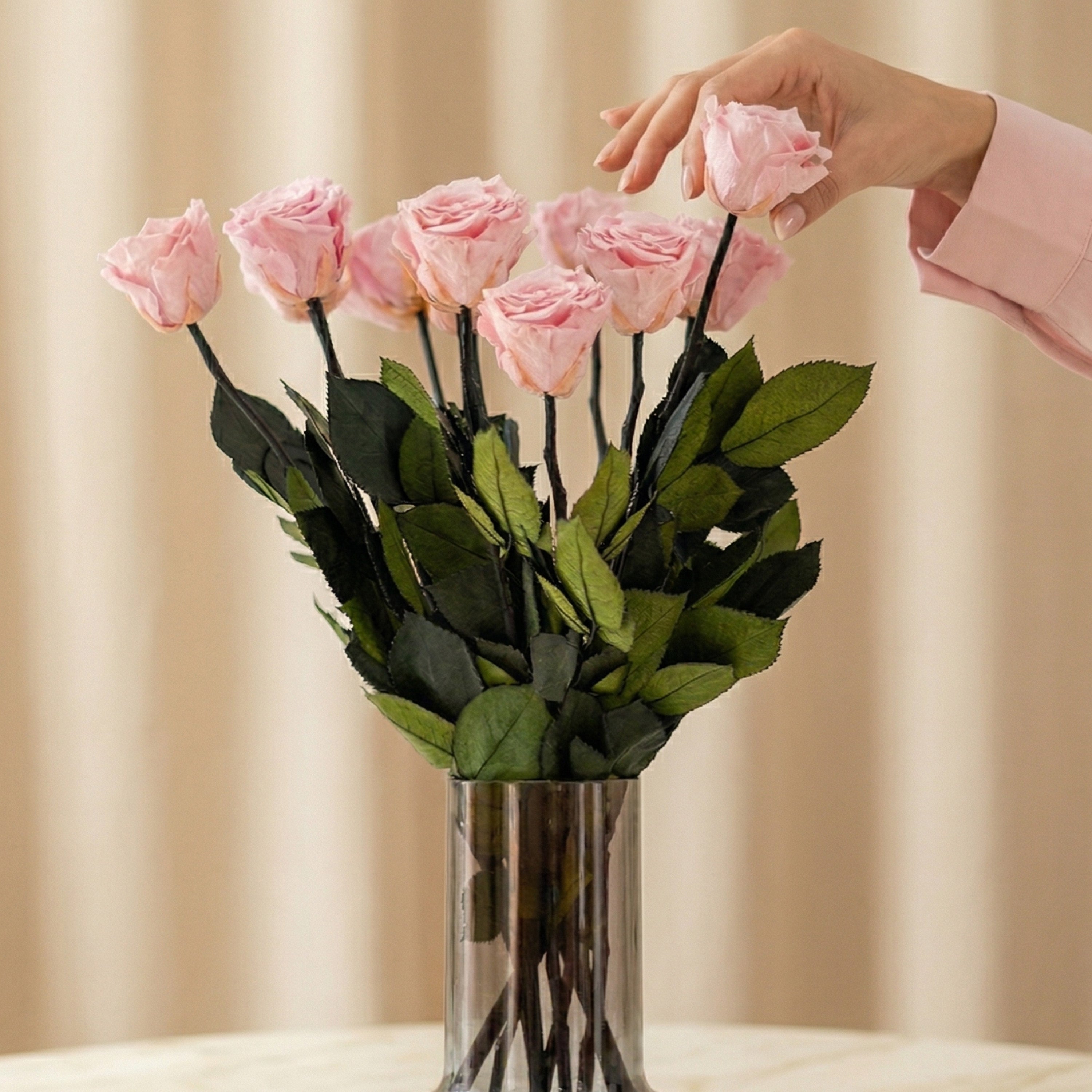 Long Stem Roses | Light Pink Roses