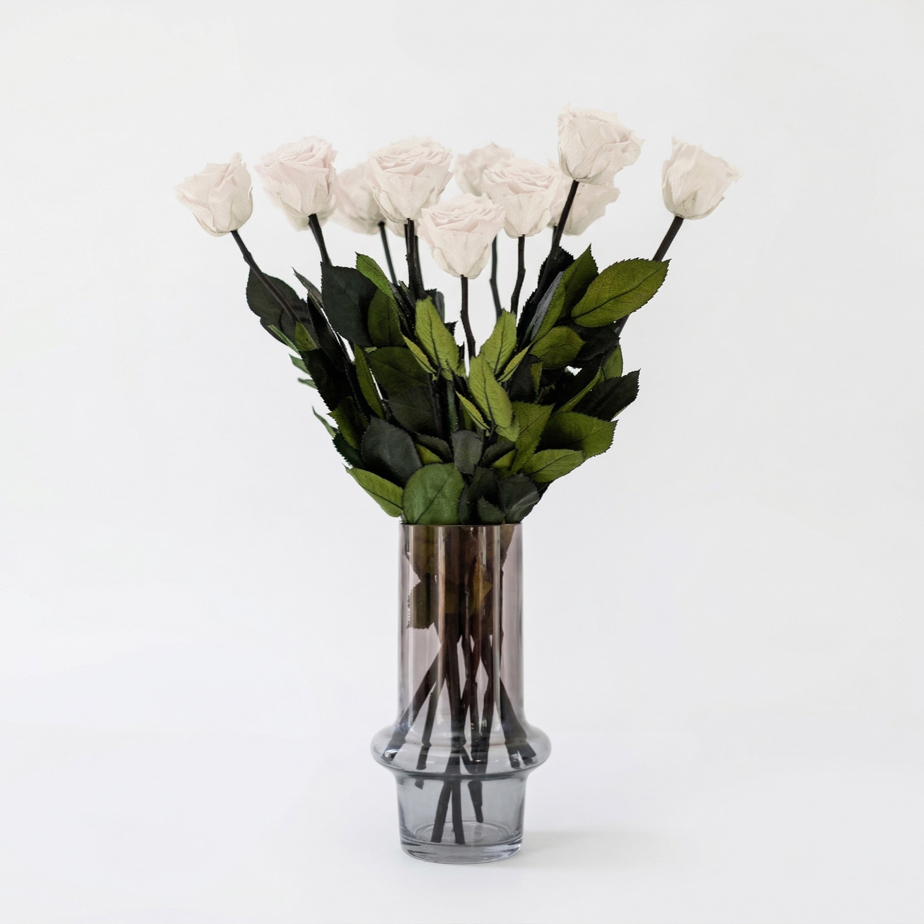 Roses à longue tige | Roses blanches