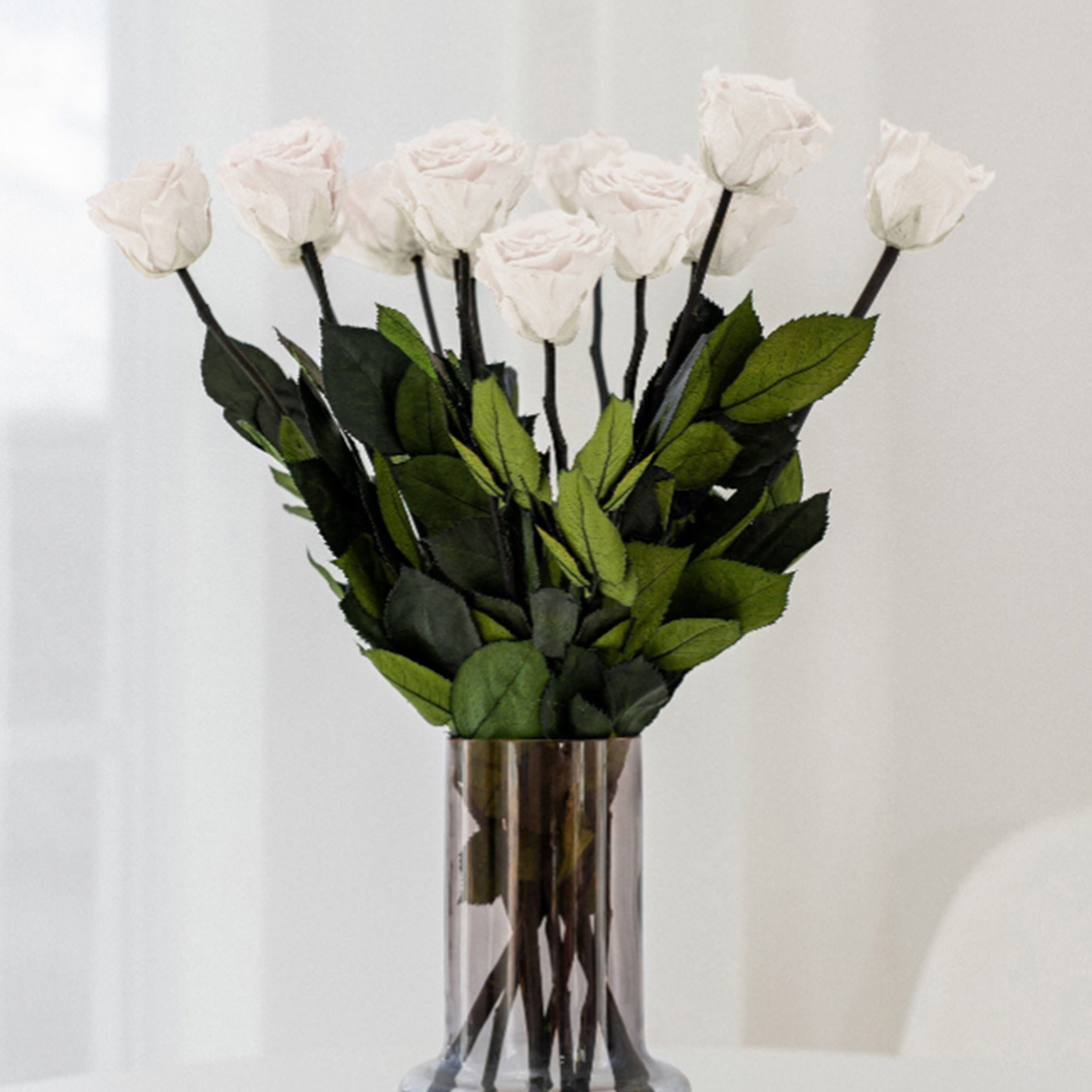 Long Stem Roses | White Roses