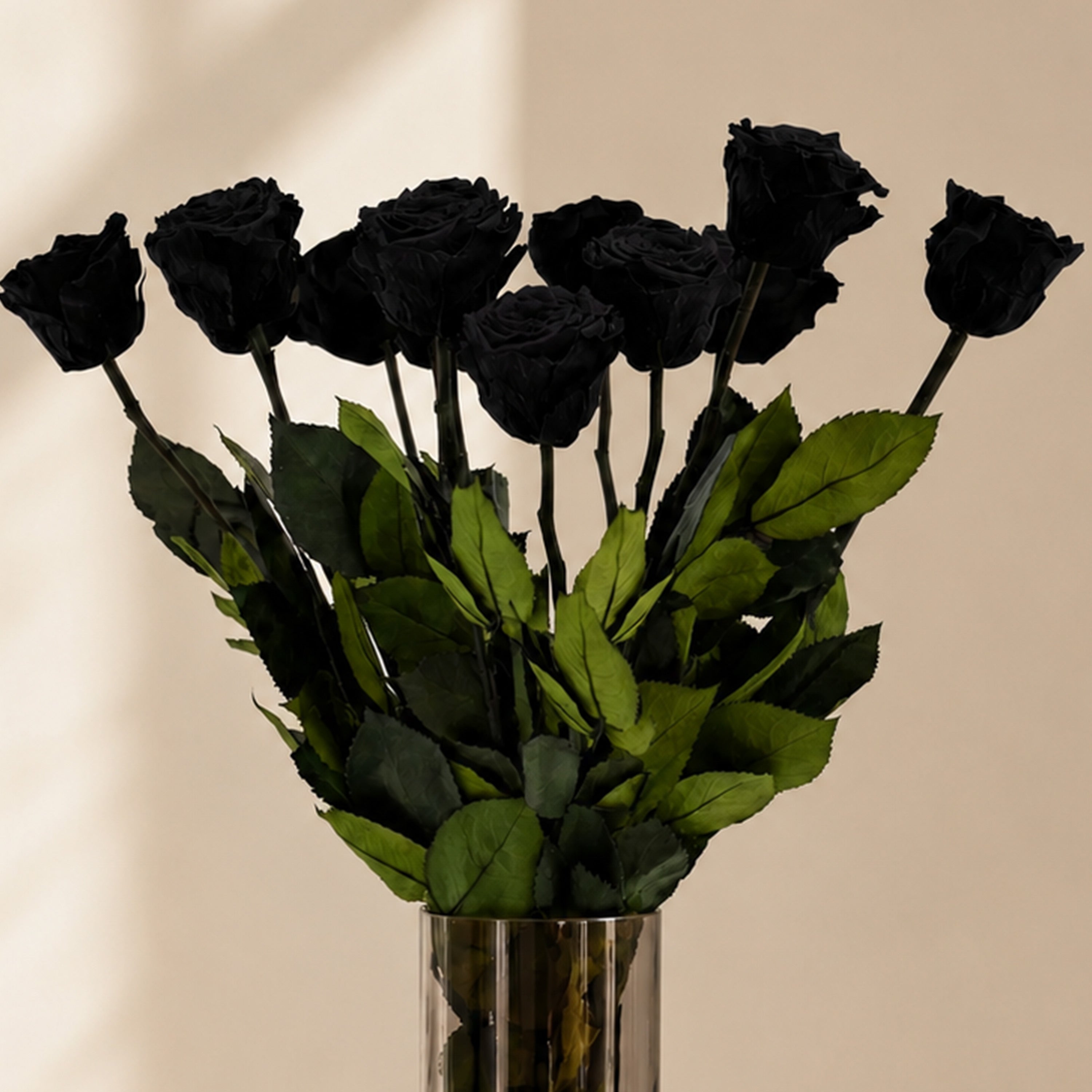 Long Stem Roses | Black Roses