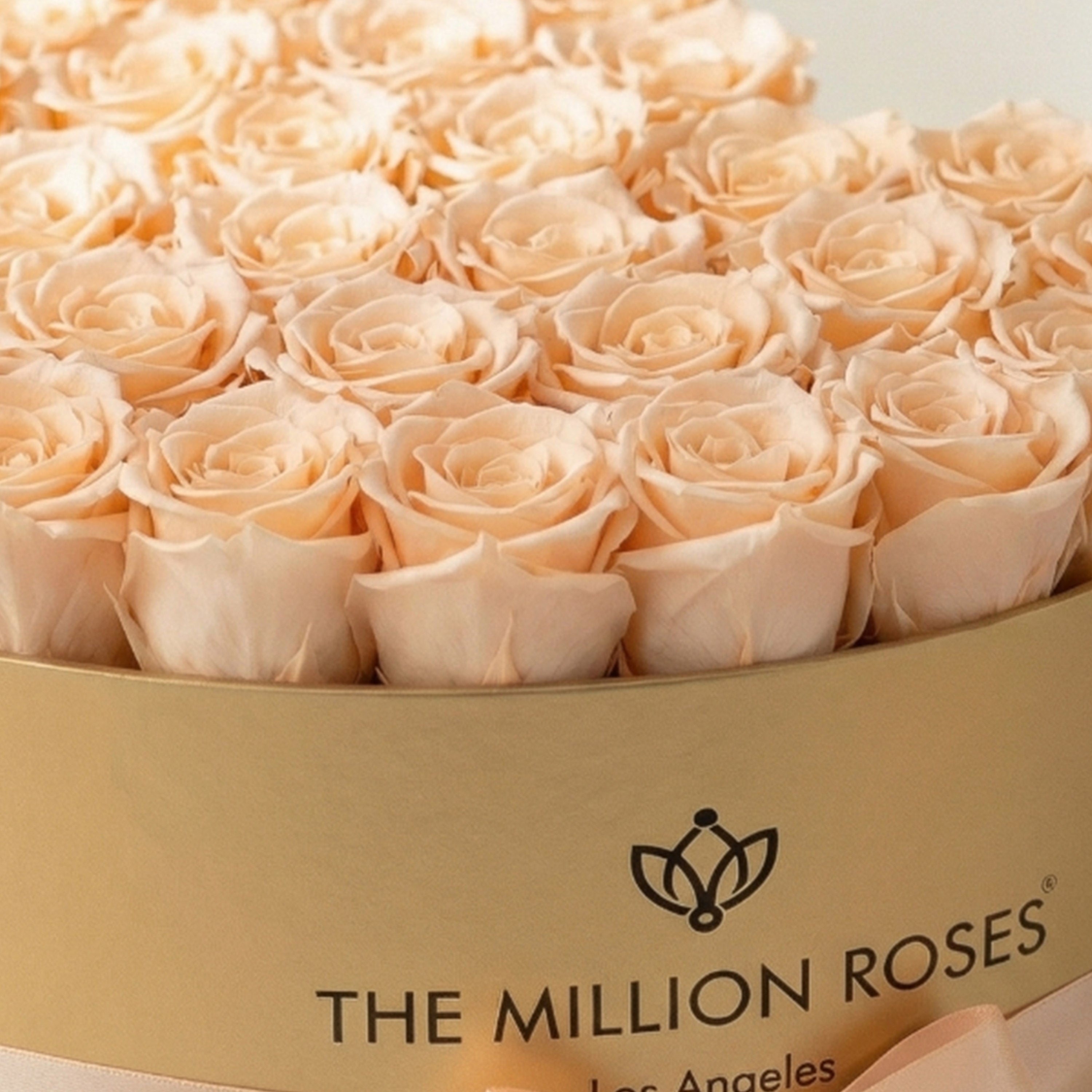 Heart Gold Box | Peach Roses
