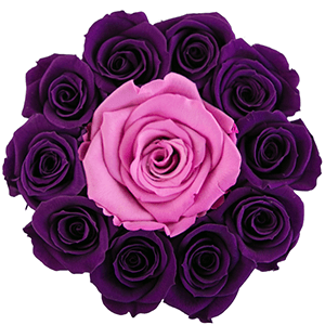 Basic White Box | Flamingo Edition | Bright Purple Mini Roses - The Million Roses