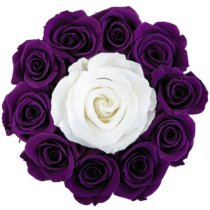 Basic White Box | Flamingo Edition | Bright Purple Mini Roses - The Million Roses