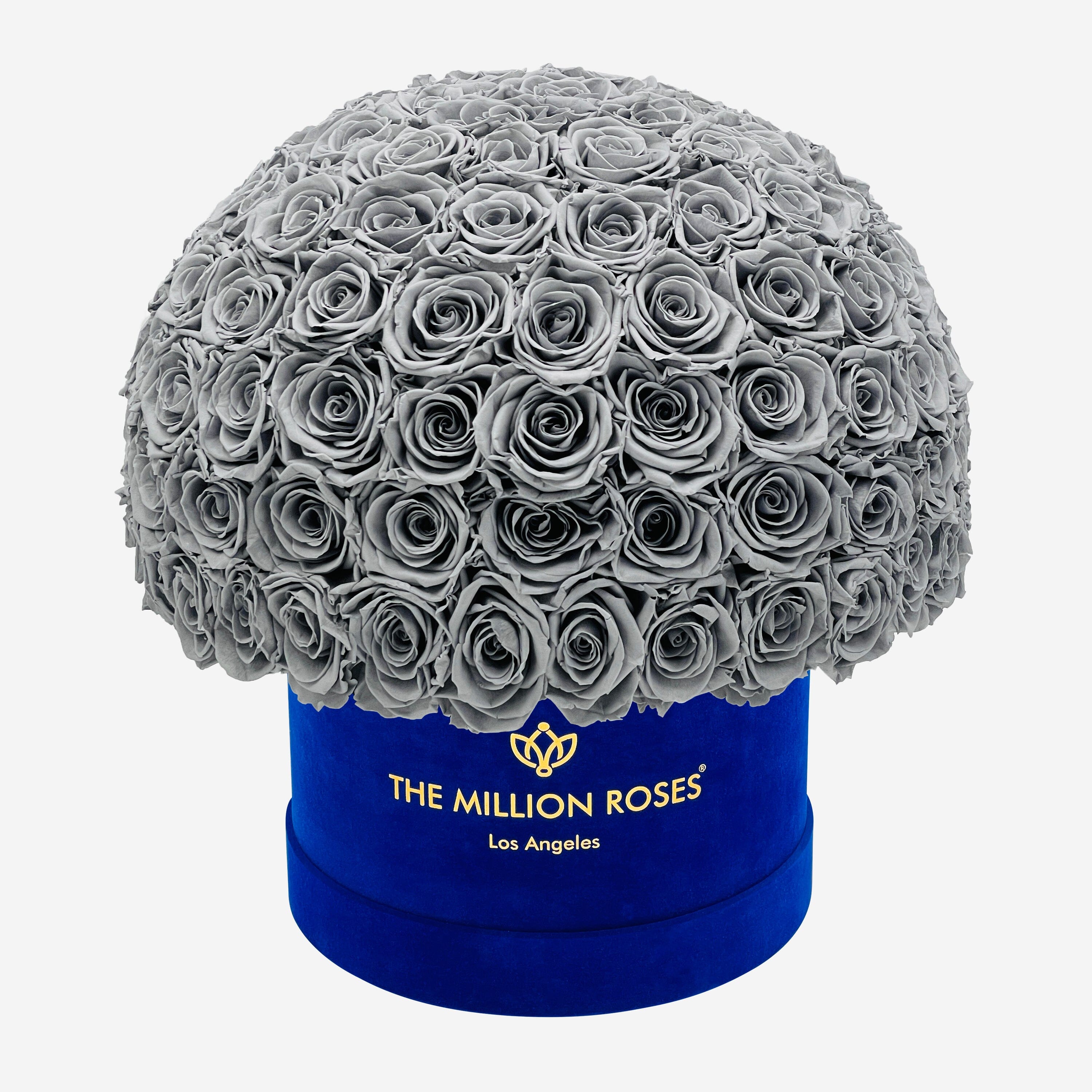 Classic Royal Blue Suede Superdome Box | Pastel Grey Roses