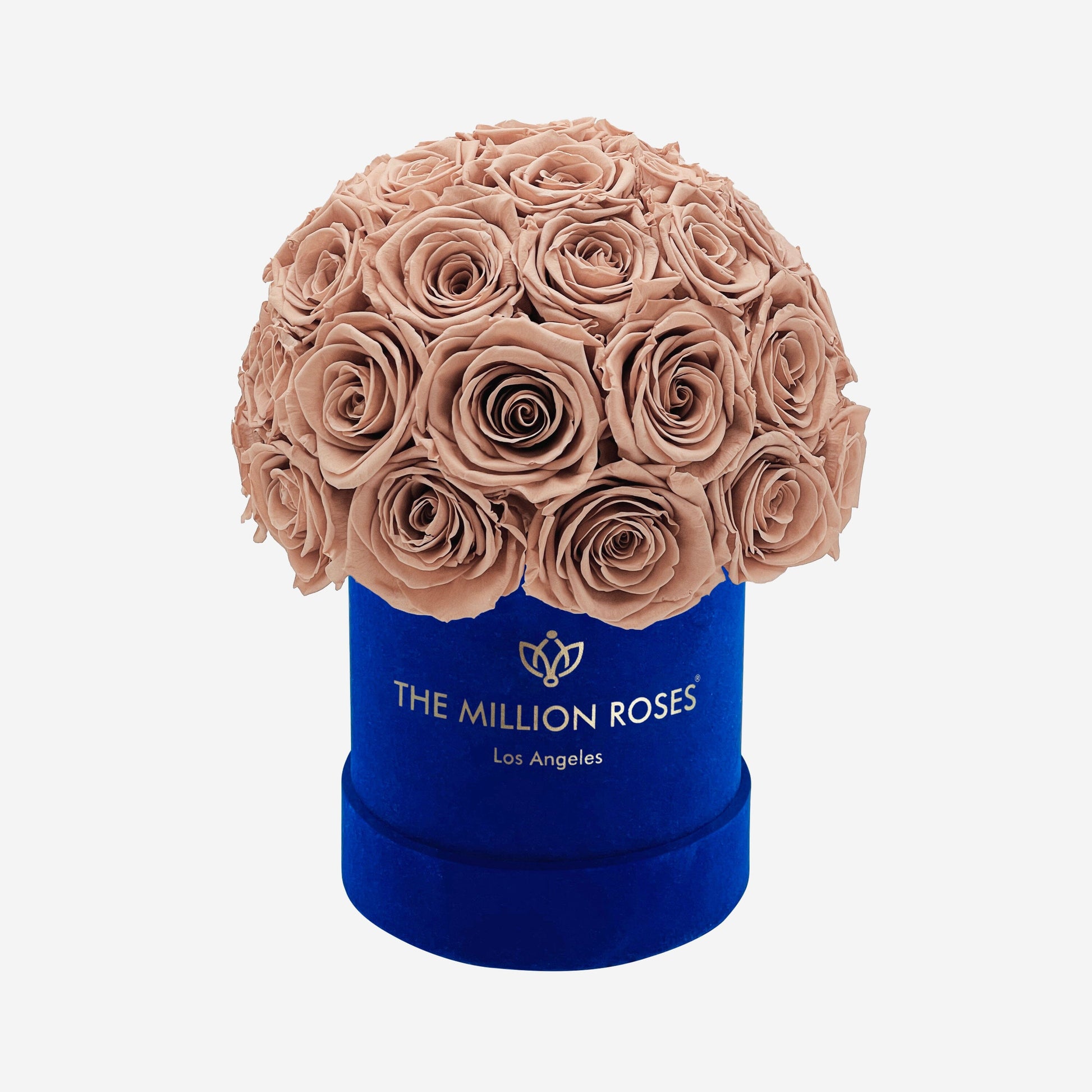 Basic Royal Blue Suede Superdome Box | Sand Roses - The Million Roses