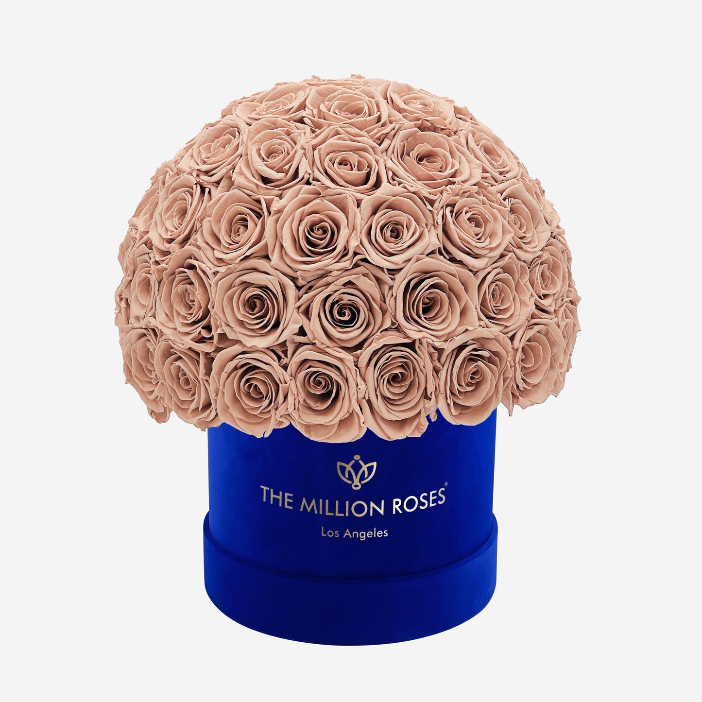 Classic Royal Blue Suede Superdome Box | Sand Roses