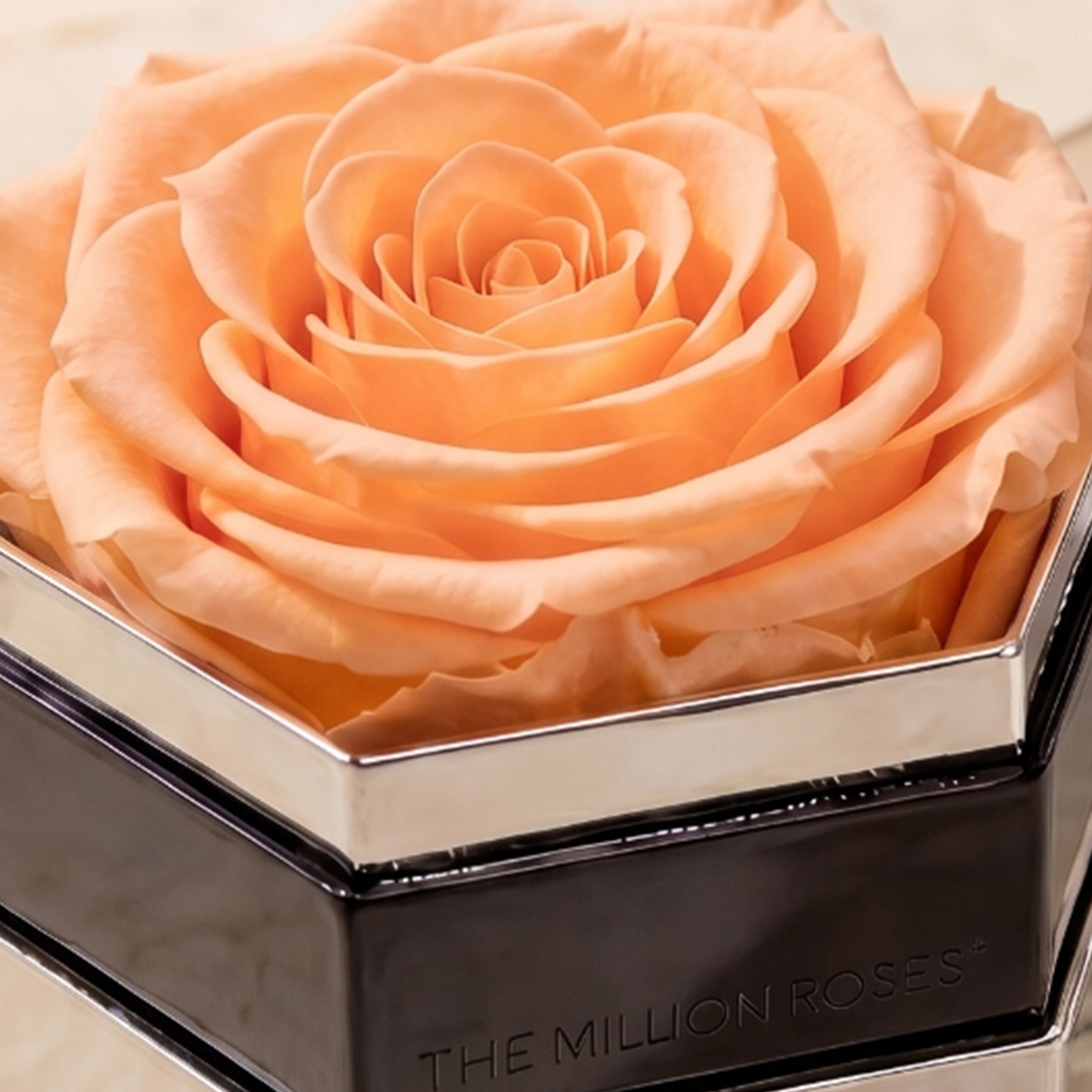 One in a Million™ Mirror Silver Hexagon Box | Peach Rose