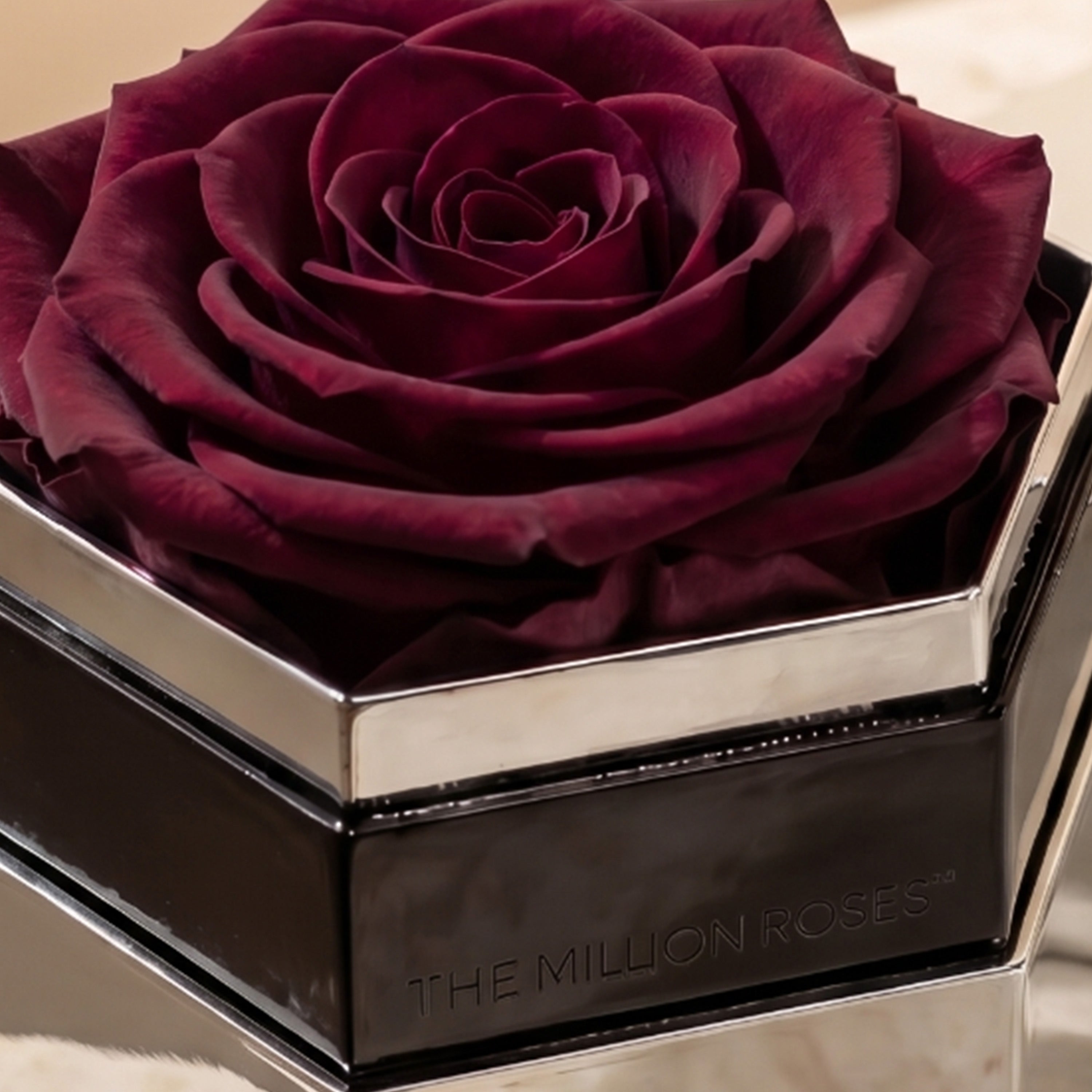 One in a Million™ Mirror Silver Hexagon Box | Burgundy Rose