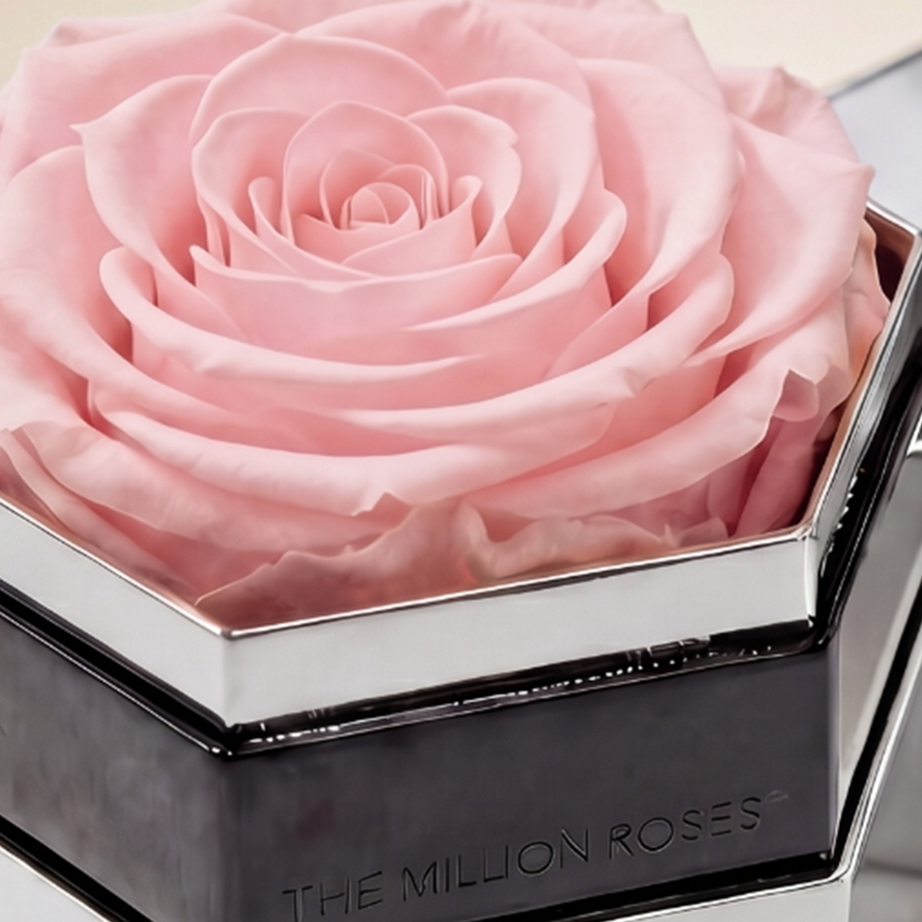 One in a Million™ Mirror Silver Hexagon Box | Light Pink Rose