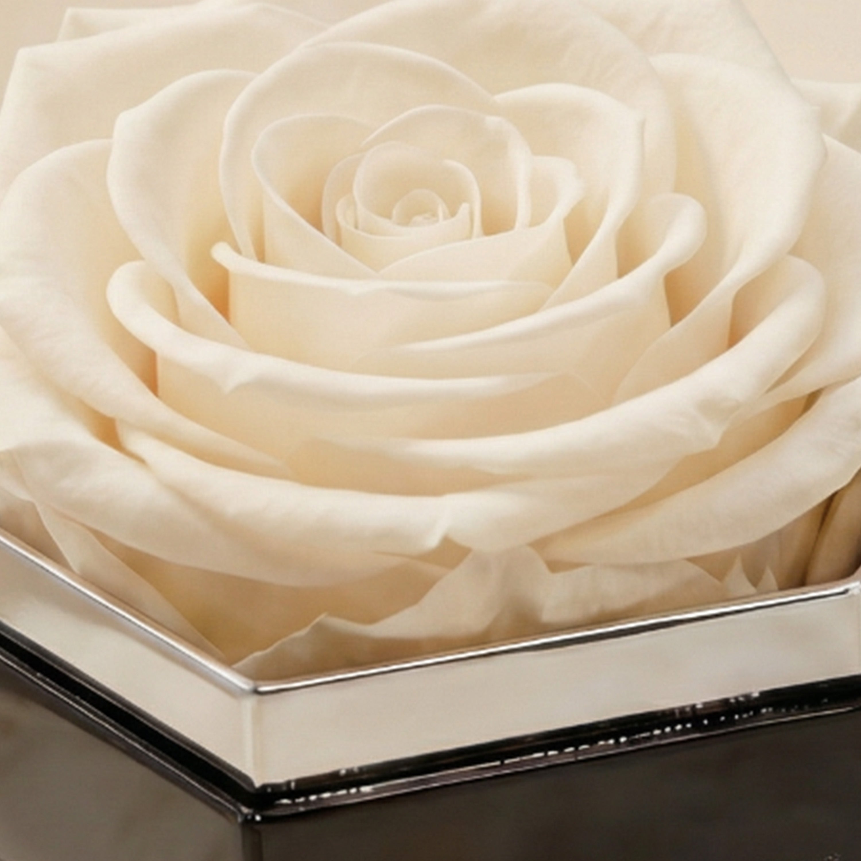 One in a Million™ Mirror Silver Hexagon Box | White Rose