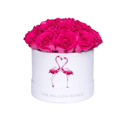 Classic White Dome Box | Flamingo Edition | Hot Pink Garden Roses