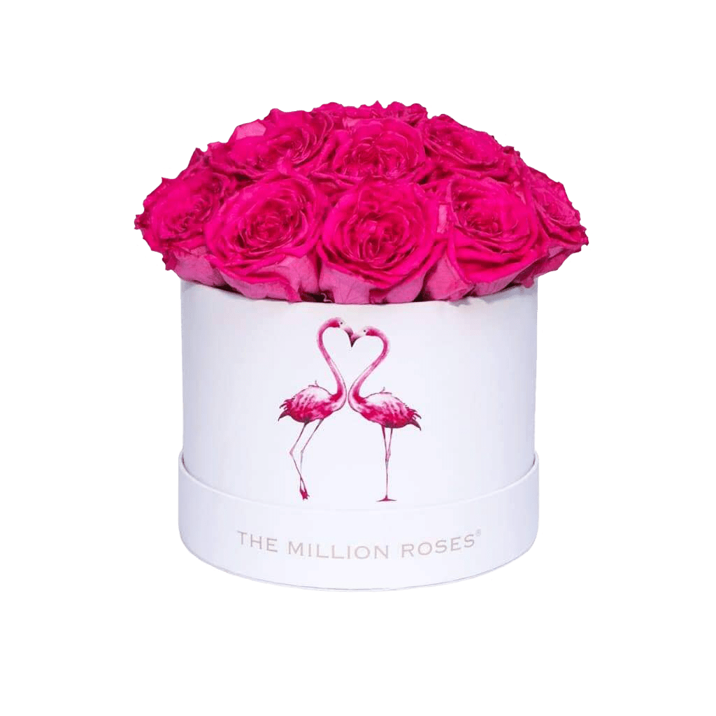 Cofanetto Cupola Bianco Classic | Edizione Fenicottero | Rose di Campo Rosate Calde