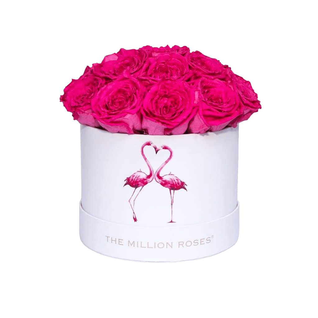 Klasszikus Fehér Dome Doboz | Flamingo Edition | Élénk Rózsaszín Garden Rózsákkal