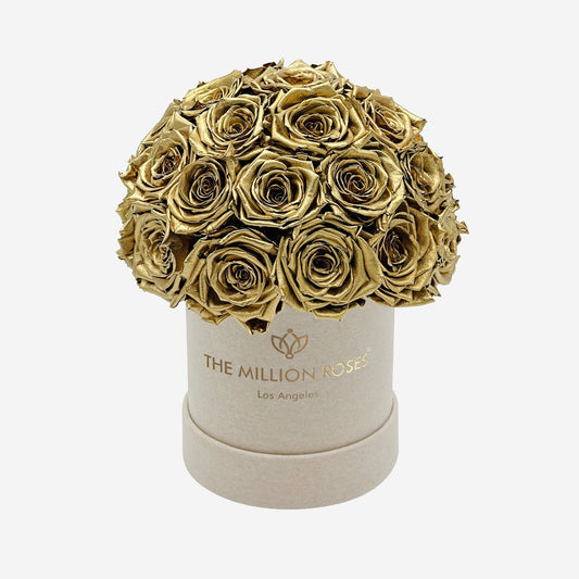 Basic Beige Suede Superdome Box | Gold Roses