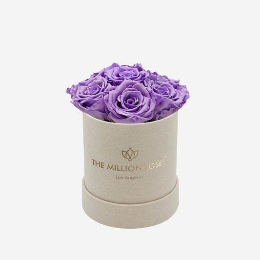 Basic Béžový Suede Box | Levandulové ruže