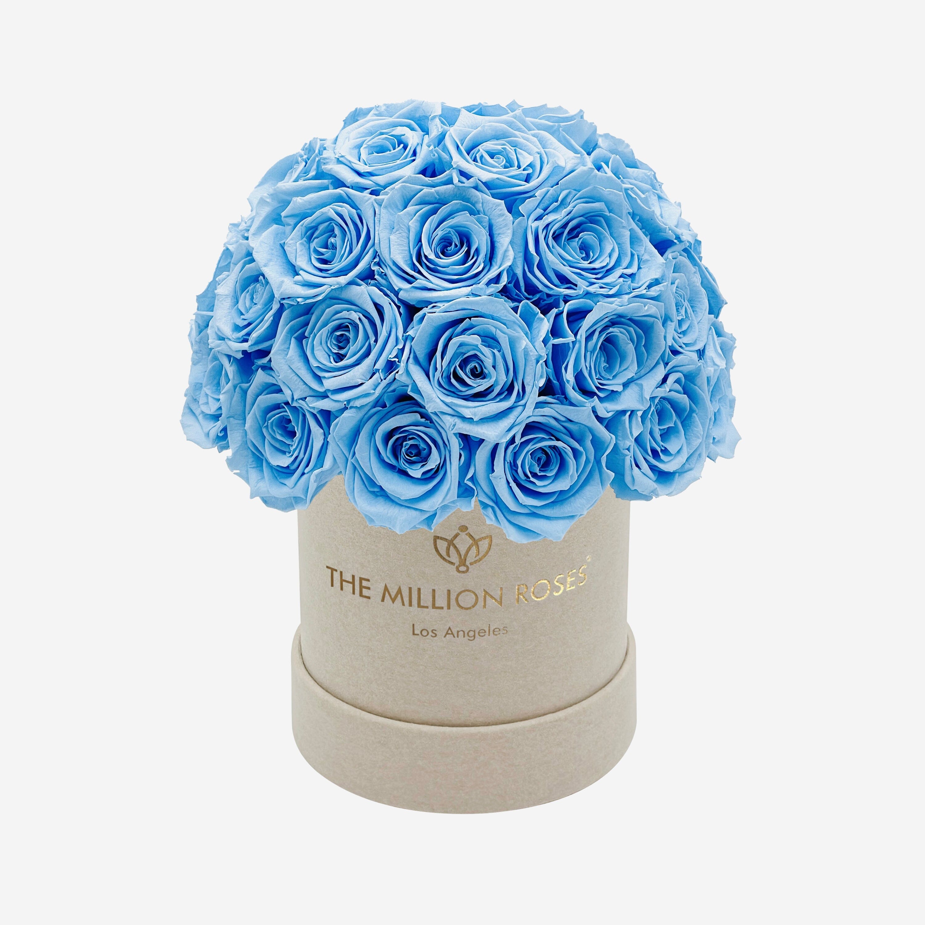 Basic Beige Suede Superdome Box | Light Blue Roses | The Million Roses