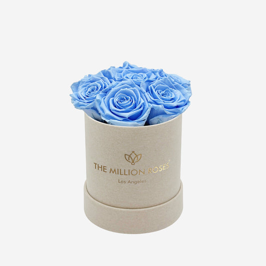 Basic Beige Suede Box | Light Blue Roses