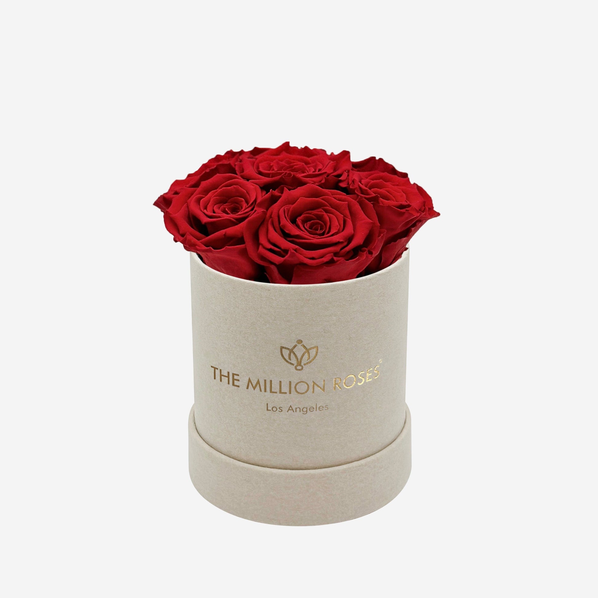 Basic Beige Suede Box | Red Roses - The Million Roses