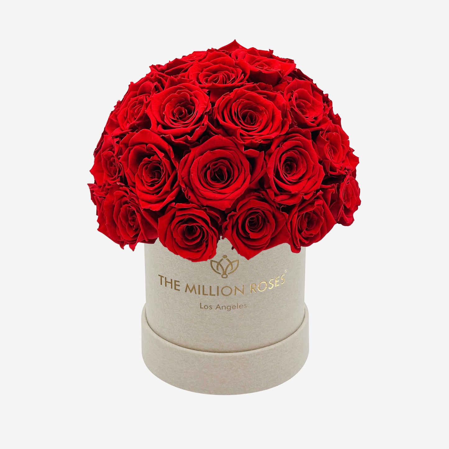 Basic Beige Suede Superdome Box | Red Roses