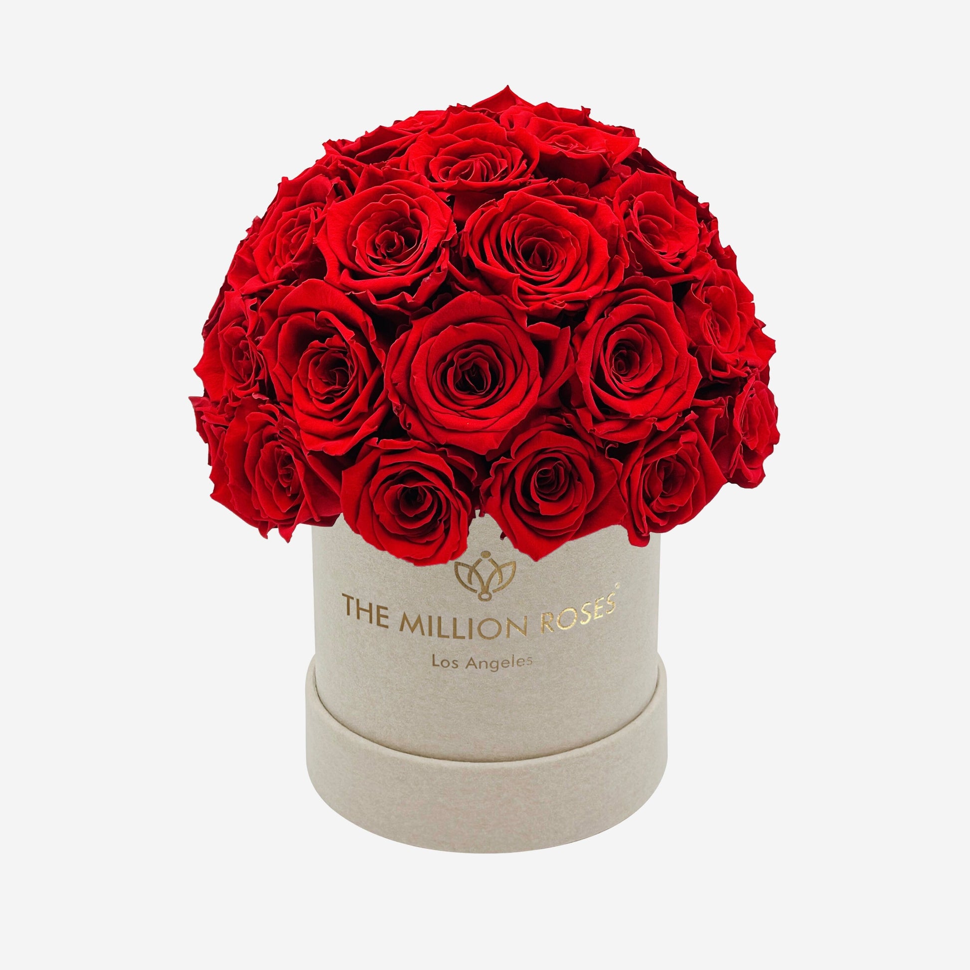 Basic Beige Suede Superdome Box | Red Roses - The Million Roses