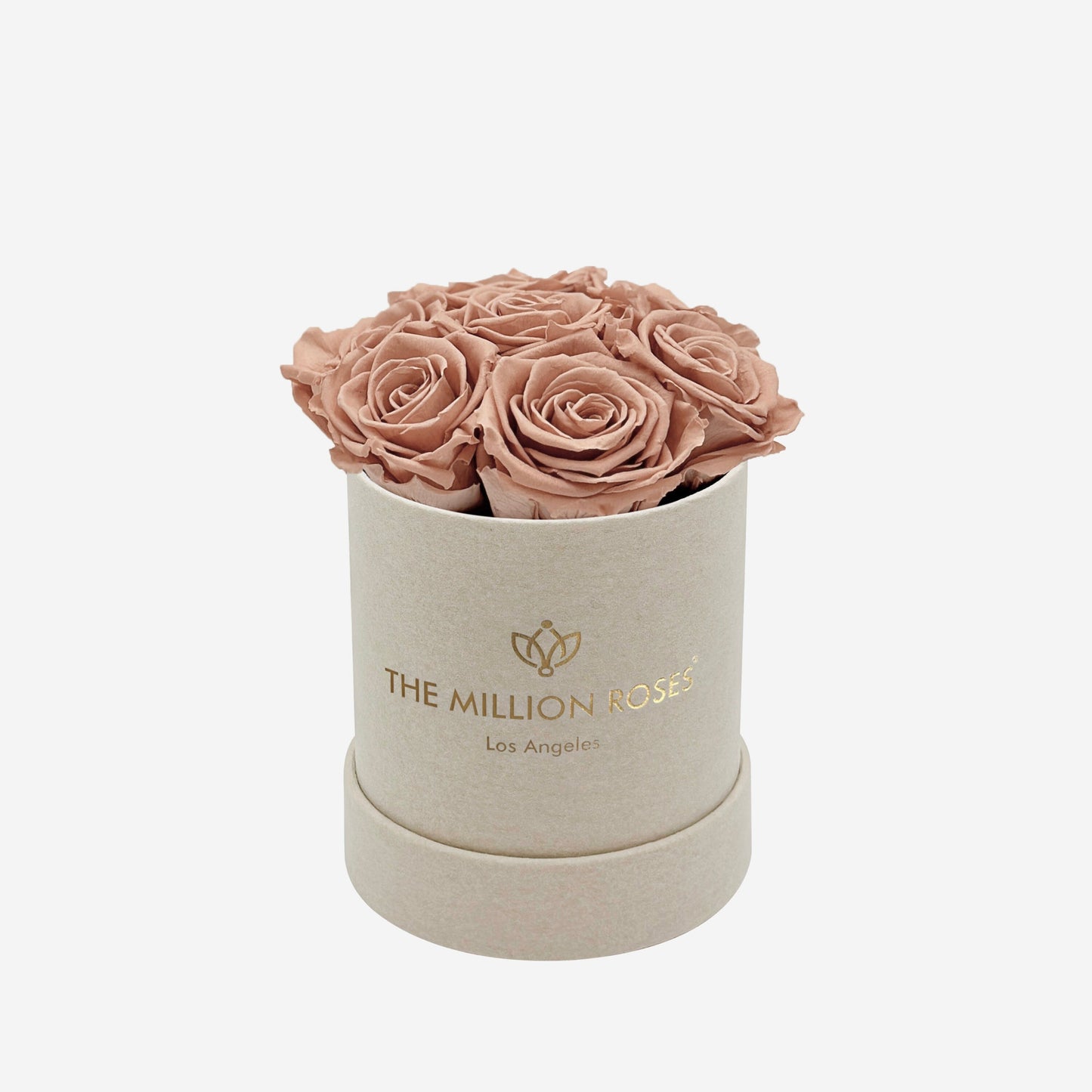 Basic Beige Suede Box | Sand Roses