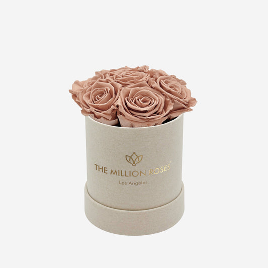 Basic Beige Suede Box | Sand Roses