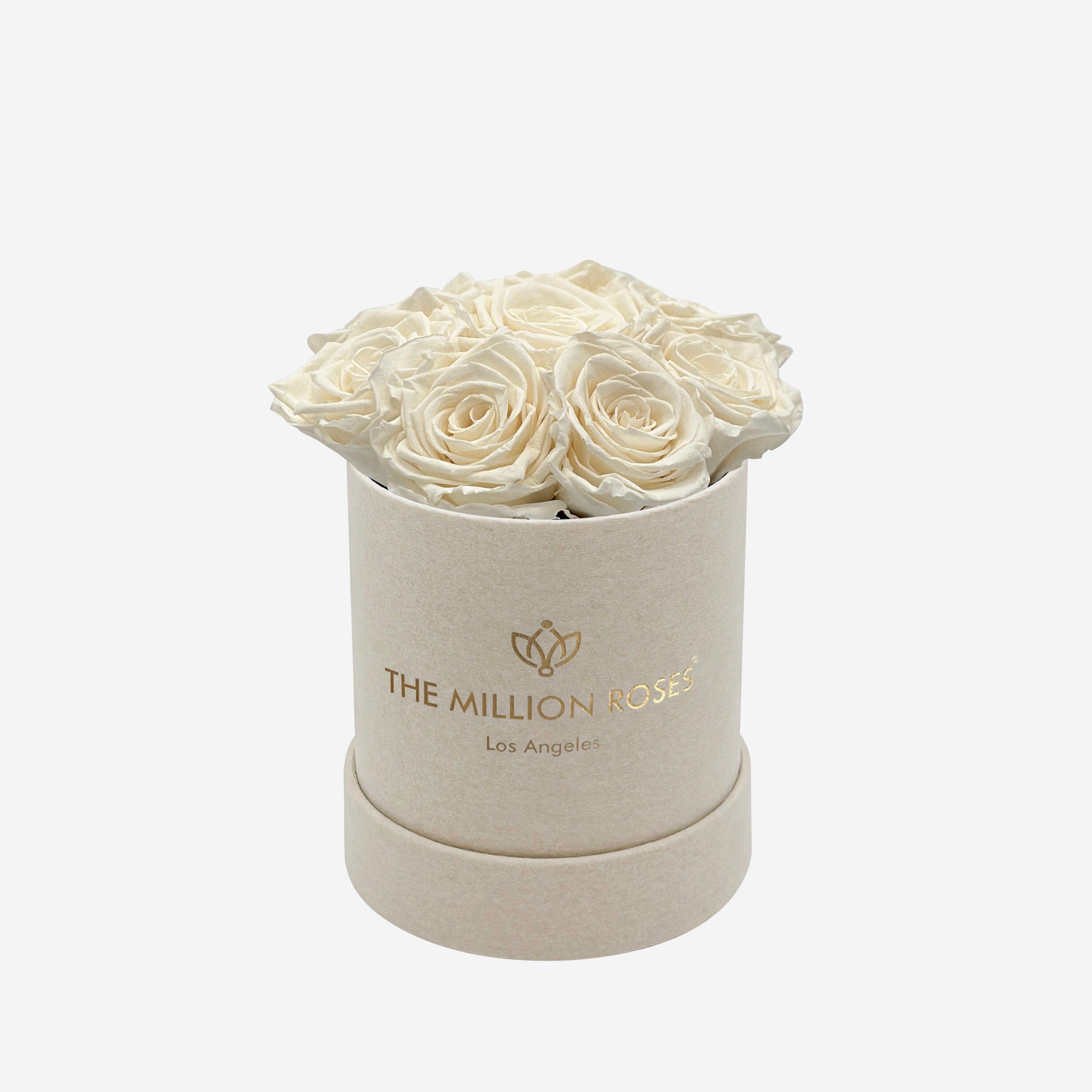 Boîte Basic Daim Beige | Roses Blanches