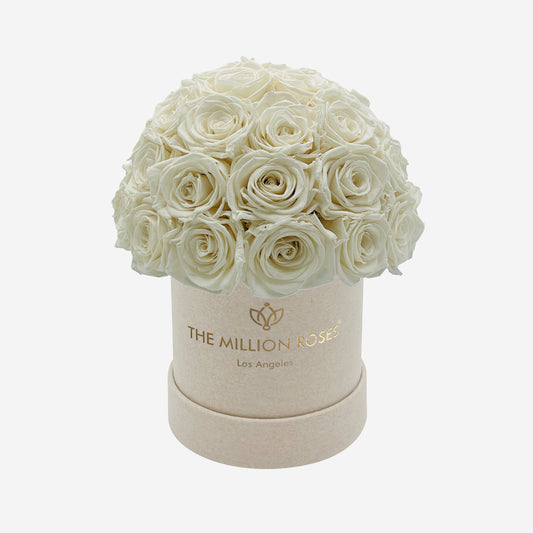 Basic Beige Suede Superdome Box | White Roses