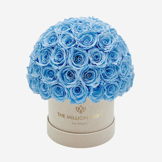 Beige Suede Roses - Preserved Roses Box | The Million Roses®