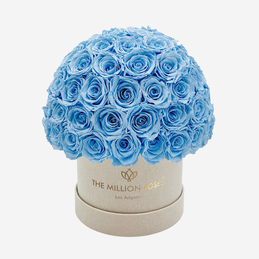 Classic Béžový Suede Superdome Box | Svetlo modré ruže