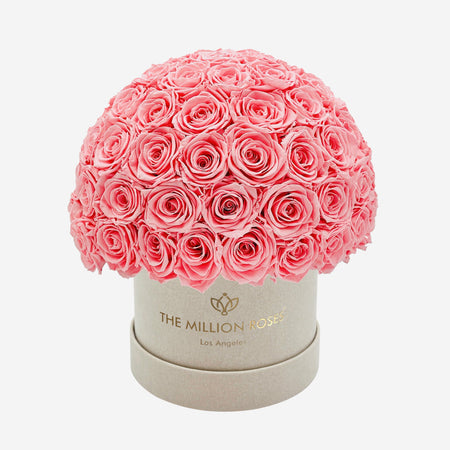 Classic Beige Suede Superdome Box | Light Pink Roses