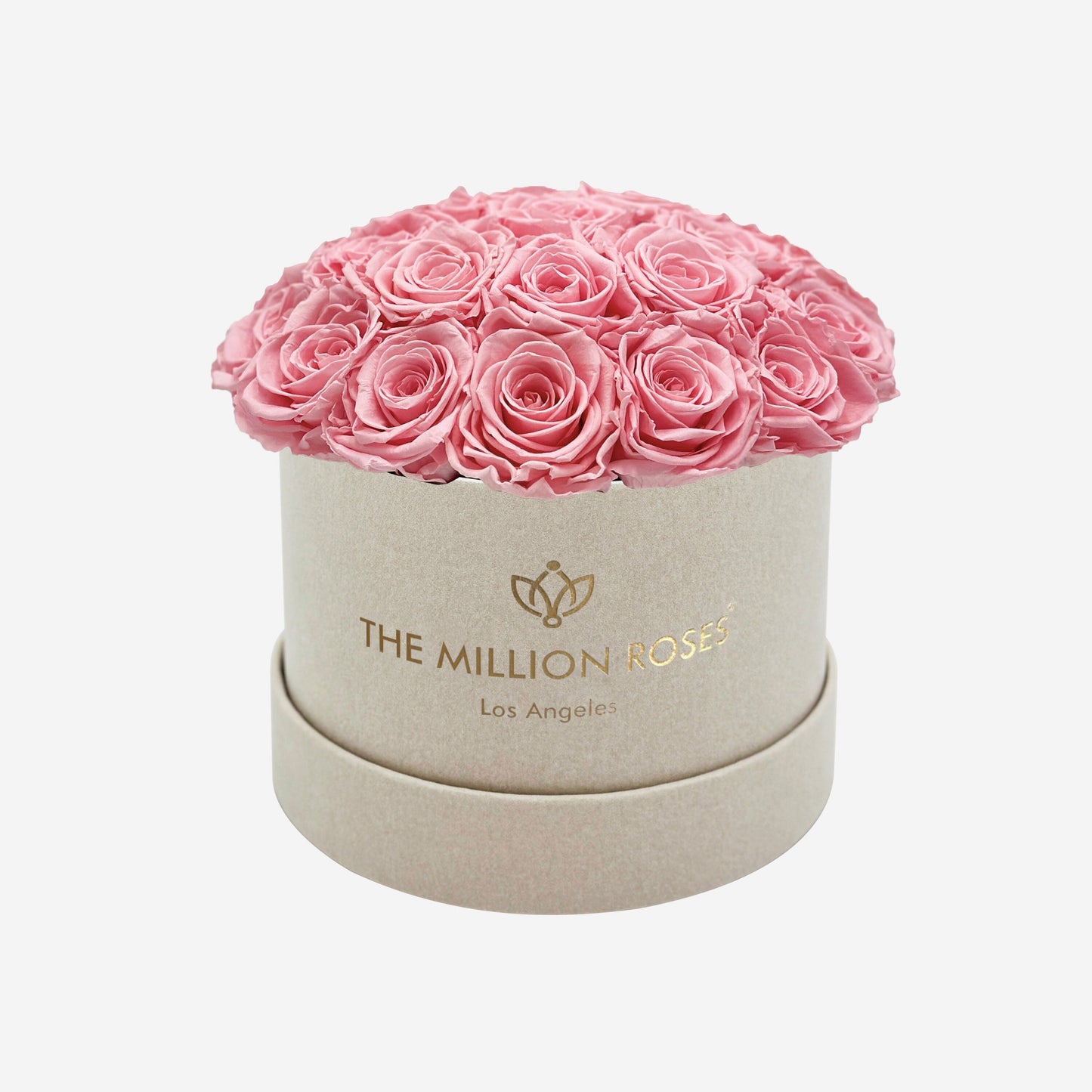 Classic Béžový Suede Dome Box | Svetlo rúžové ruže