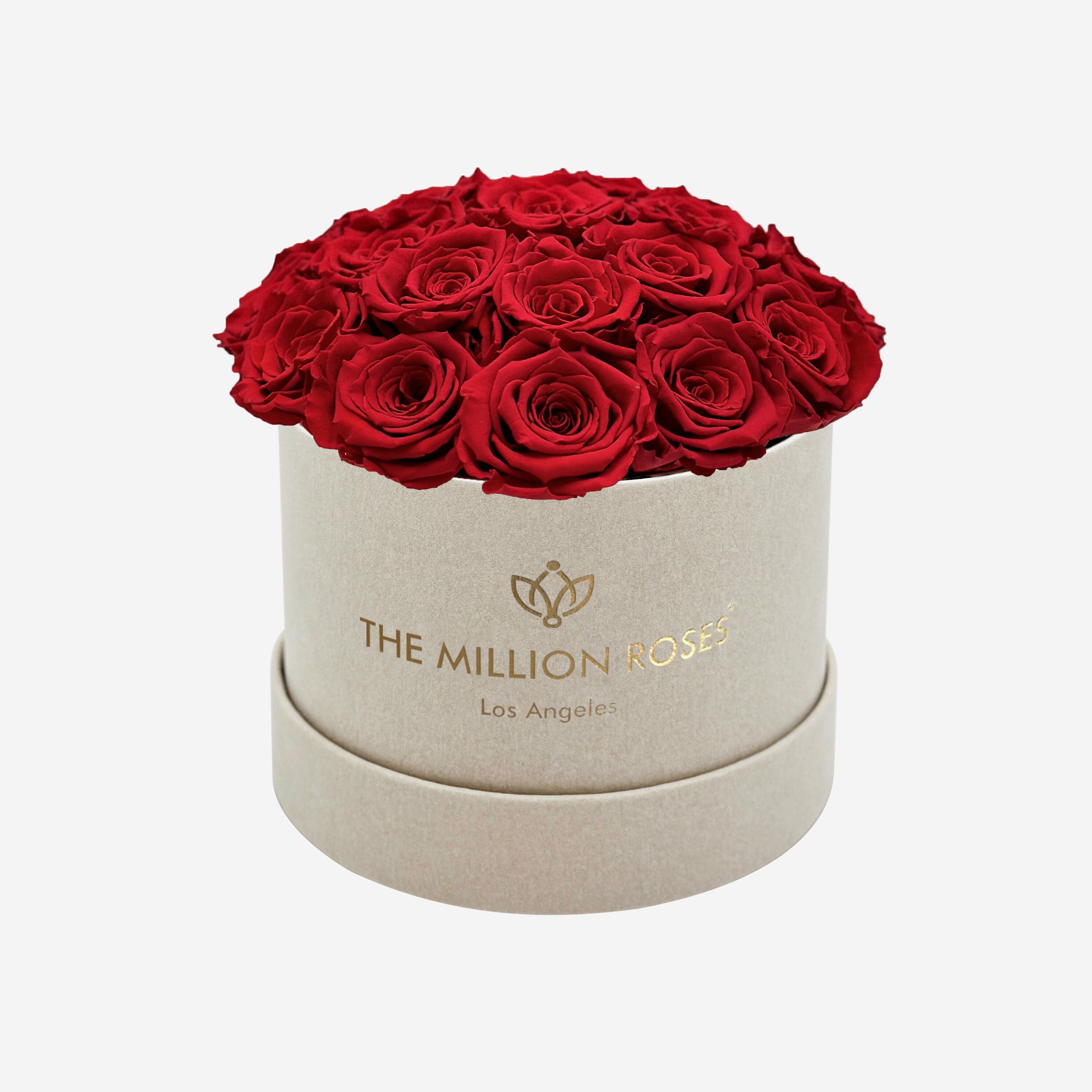 The Million Roses Luxury Preserved Roses That Last Forever