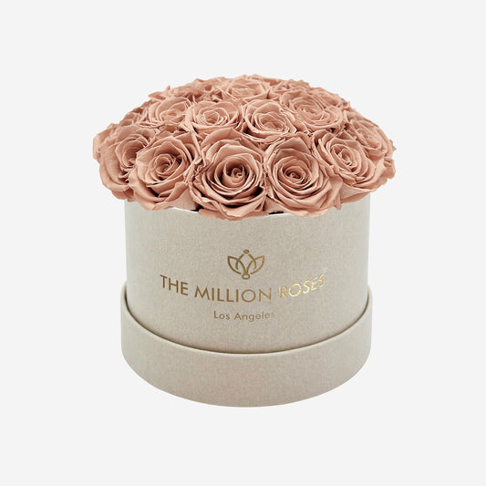 Classic Beige Suede Dome Box | Sand Roses