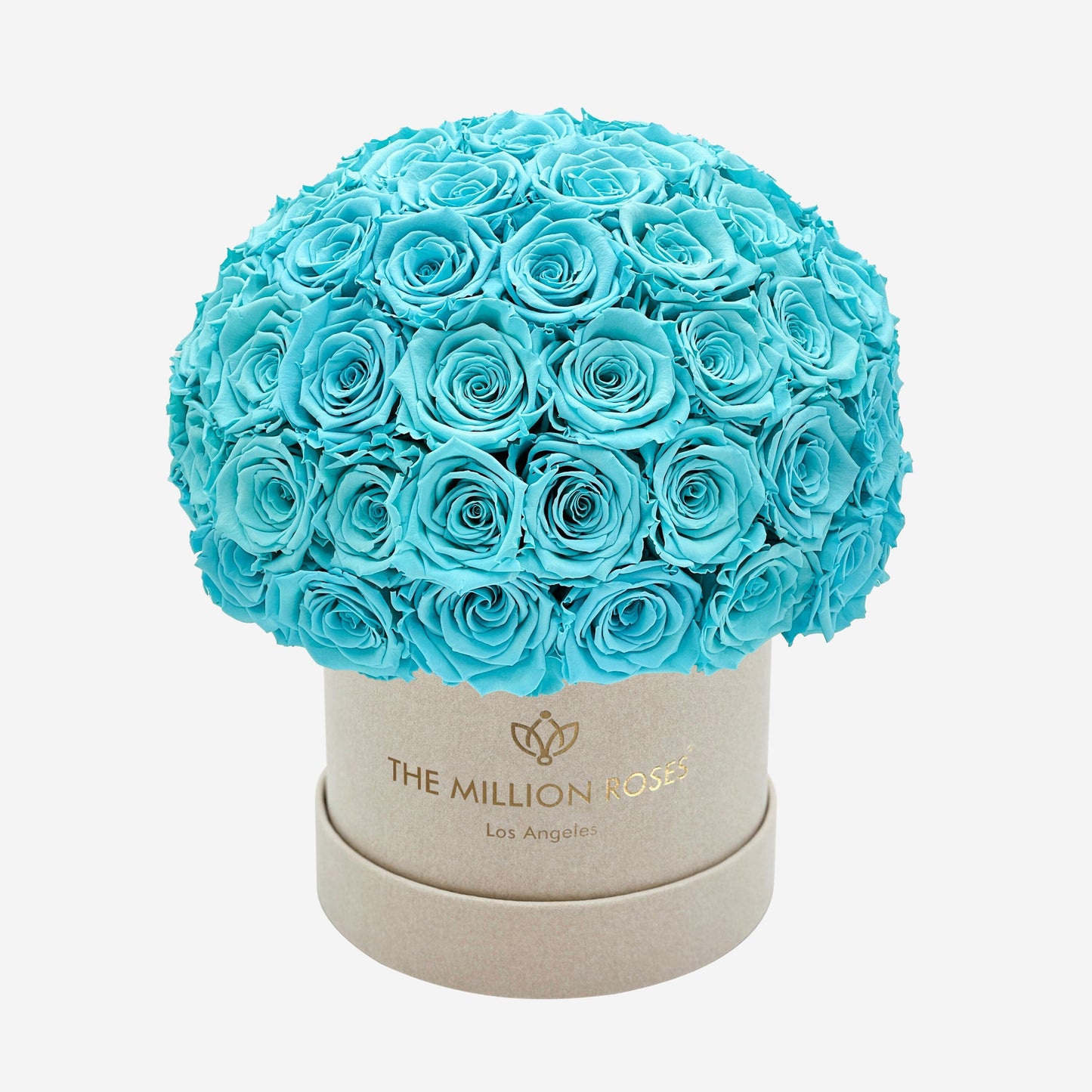 Boîte Classic Superdôme Daim Beige | Roses Bleu Turquoise