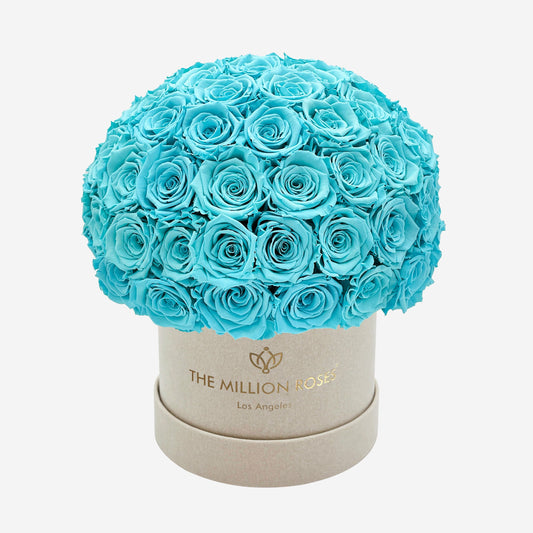 Classic Béžový Suede Superdome Box | Tiffany Blue ruže